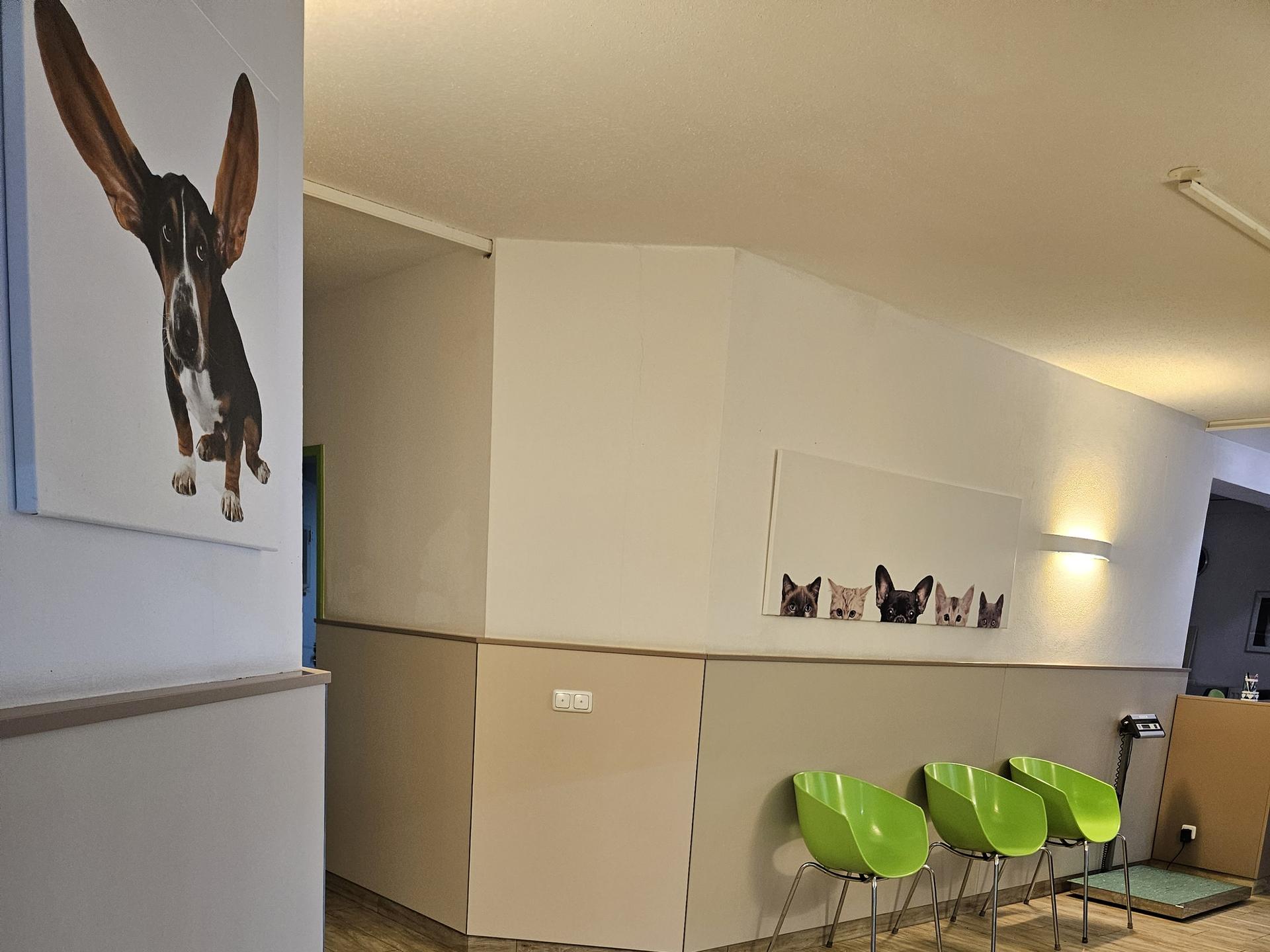 Ansicht 1 von Tierklinik Weilheim
