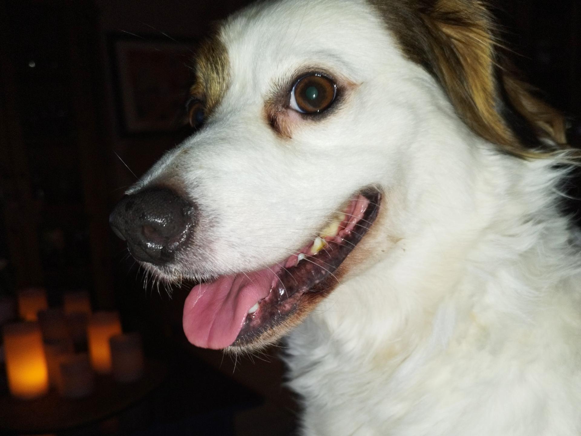 Ansicht 2 von Kleintierpraxis Annette Richter