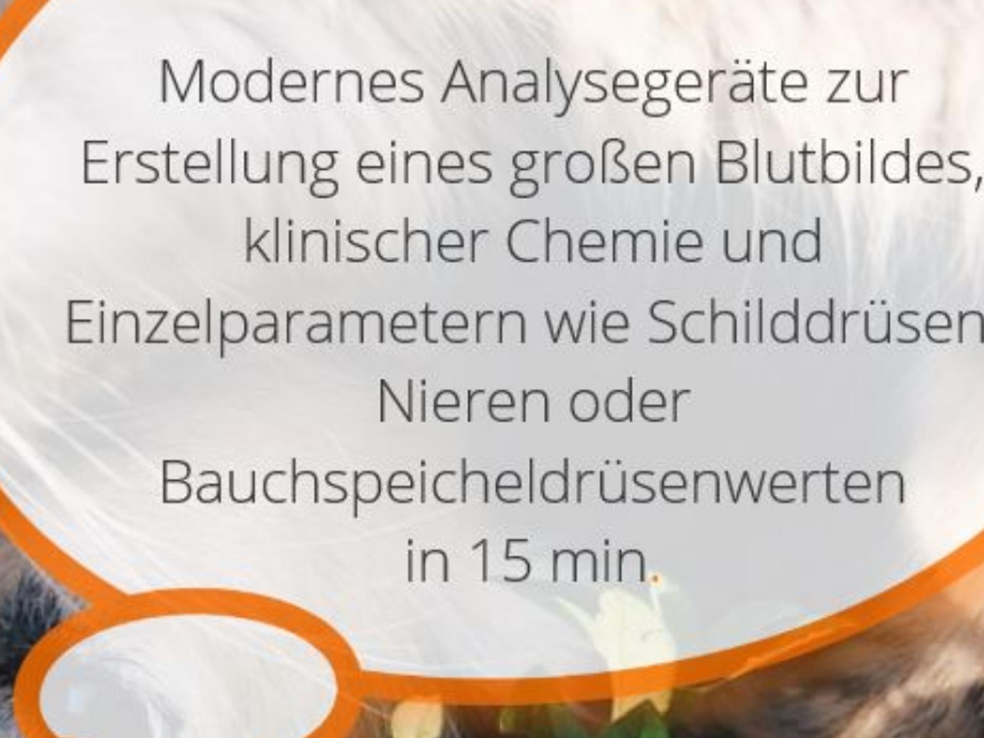 View 1 of Kleintierpraxis Döhren