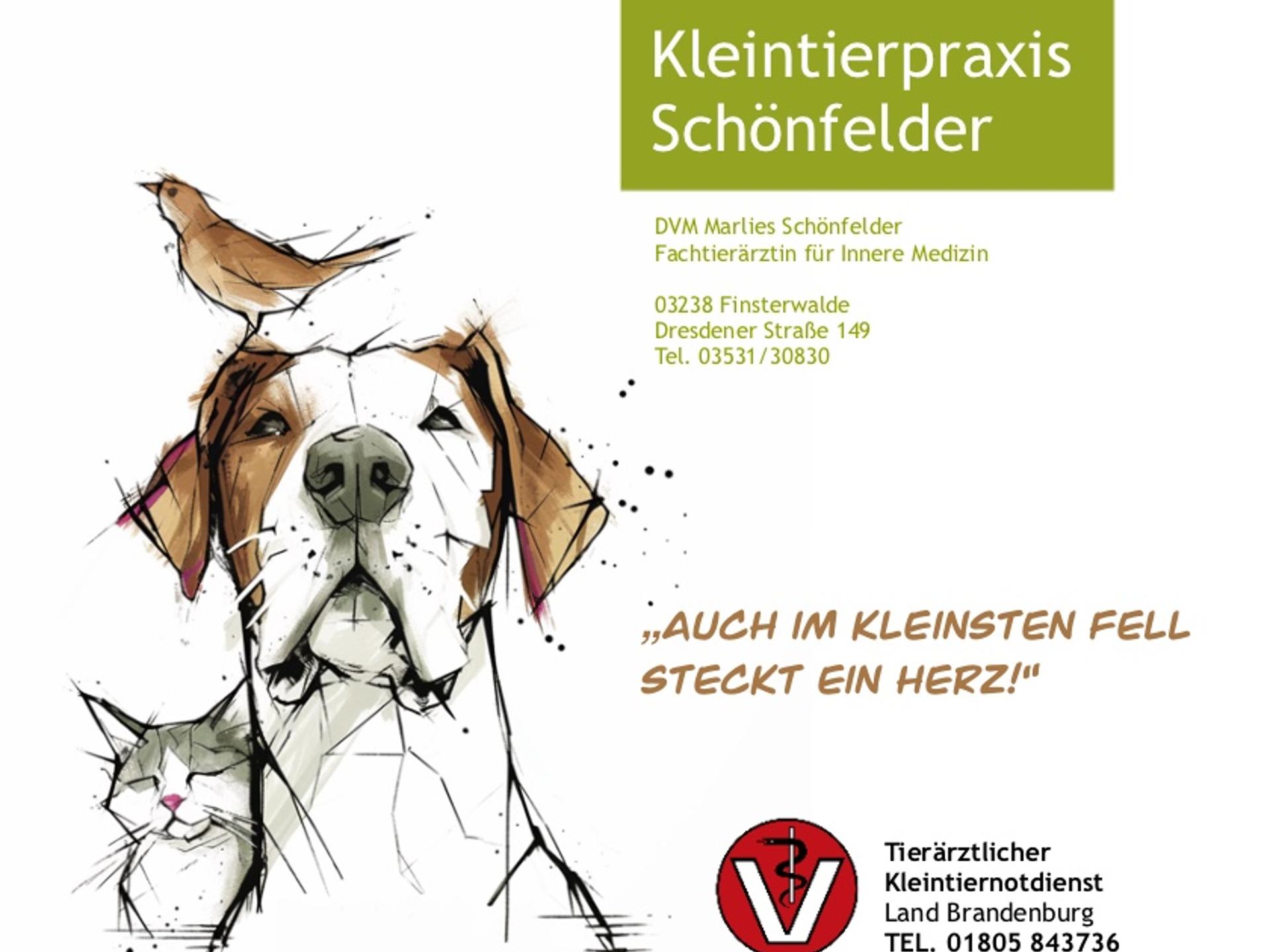 View 2 of Marlies Schönfelder
