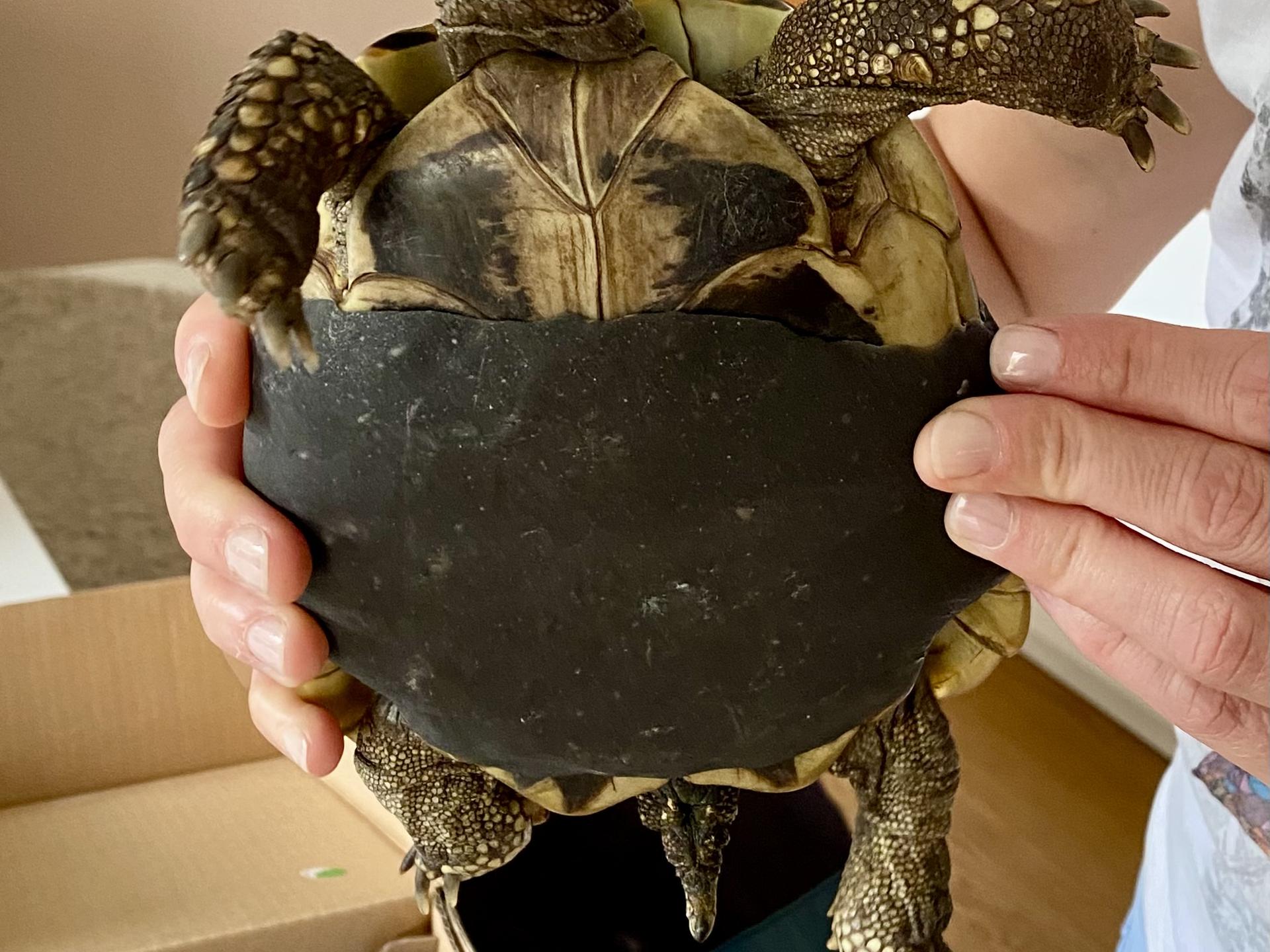 View 1 of Tierarztpraxis Dr. Thomas Bauer - Reptilien & Fische