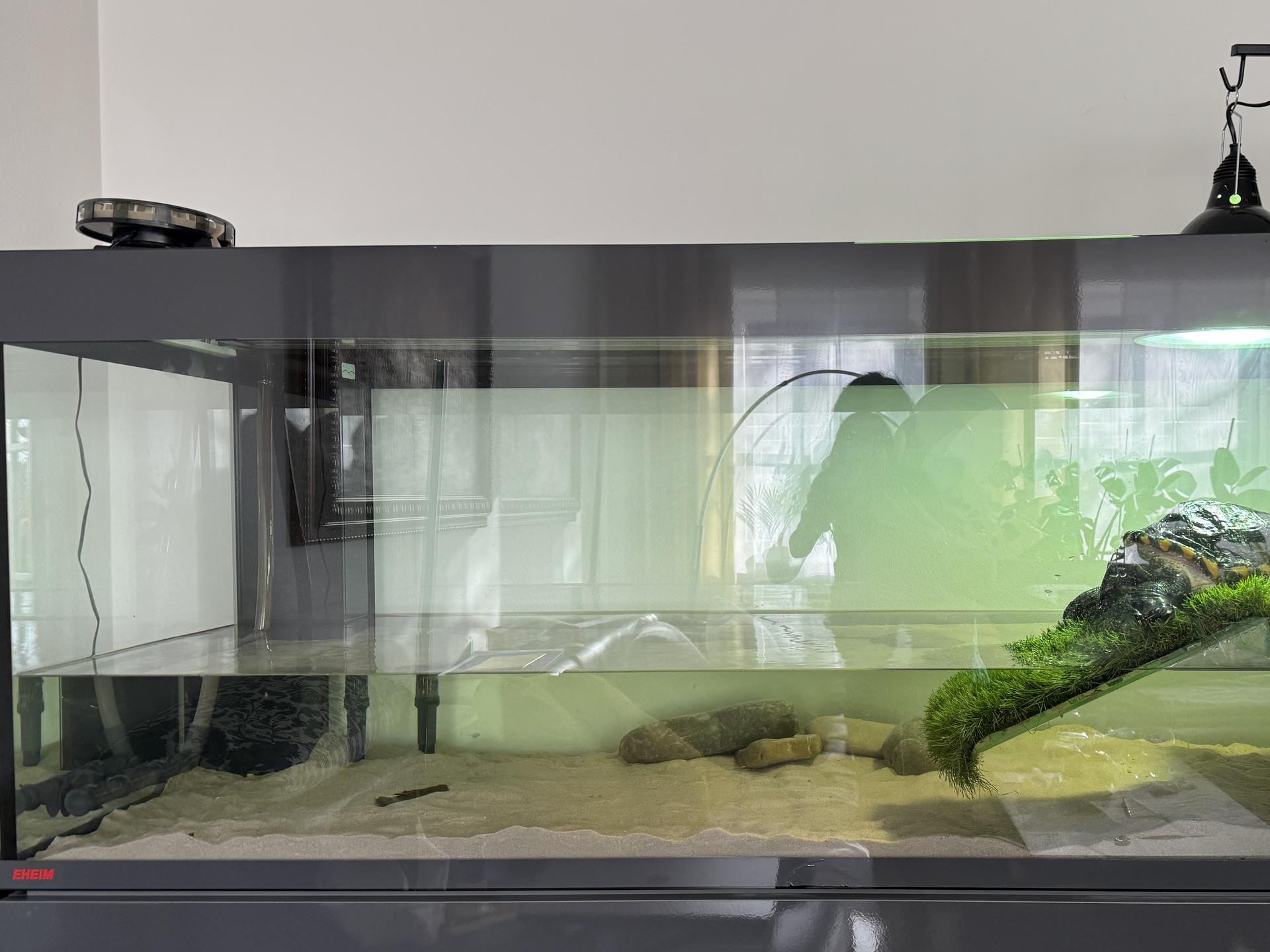 View 3 of Tierarztpraxis Dr. Thomas Bauer - Reptilien & Fische