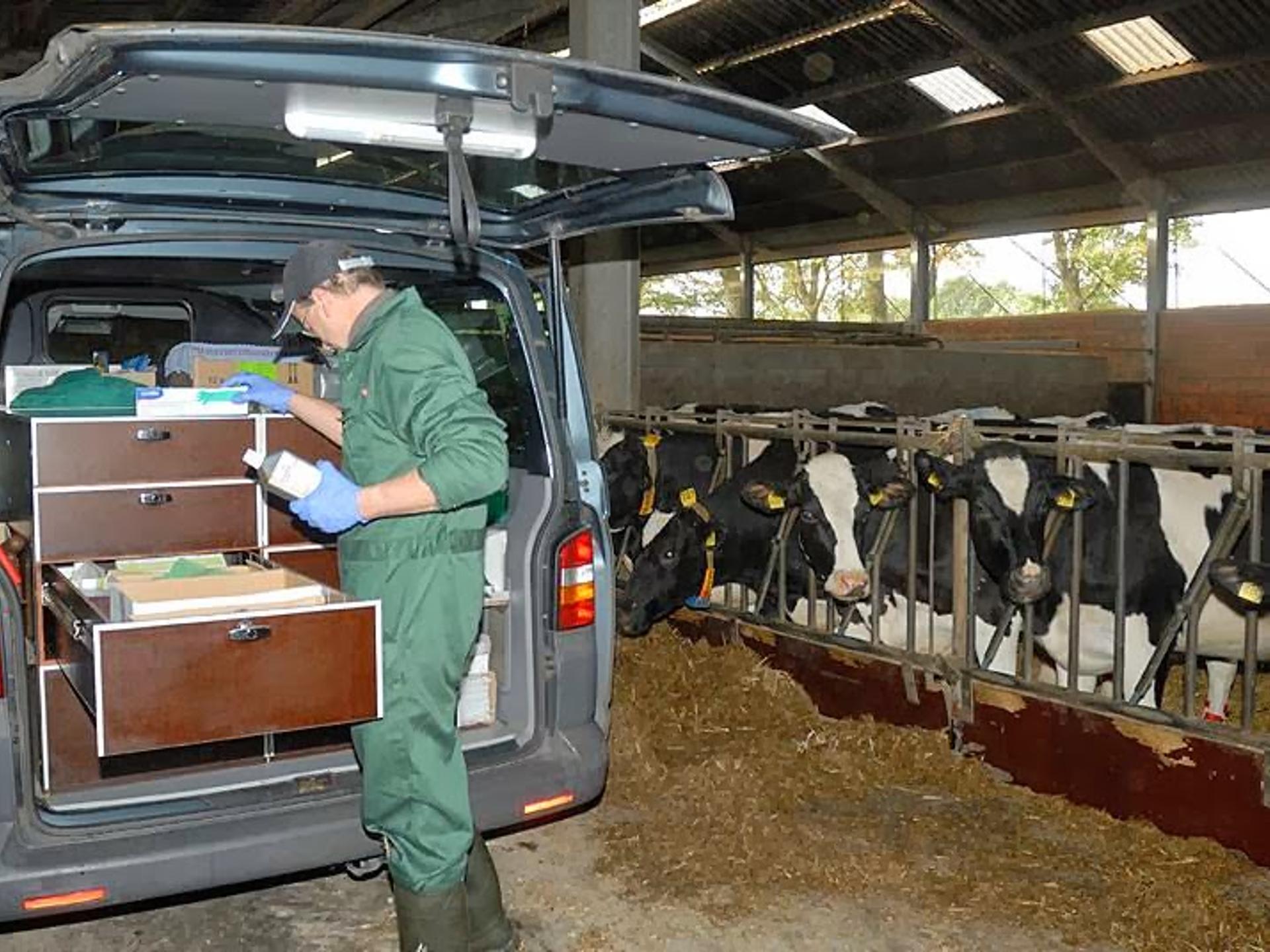 Ansicht 5 von Tierarzt Praxis für Rinder Dr.med.vet Bernd Oelkers