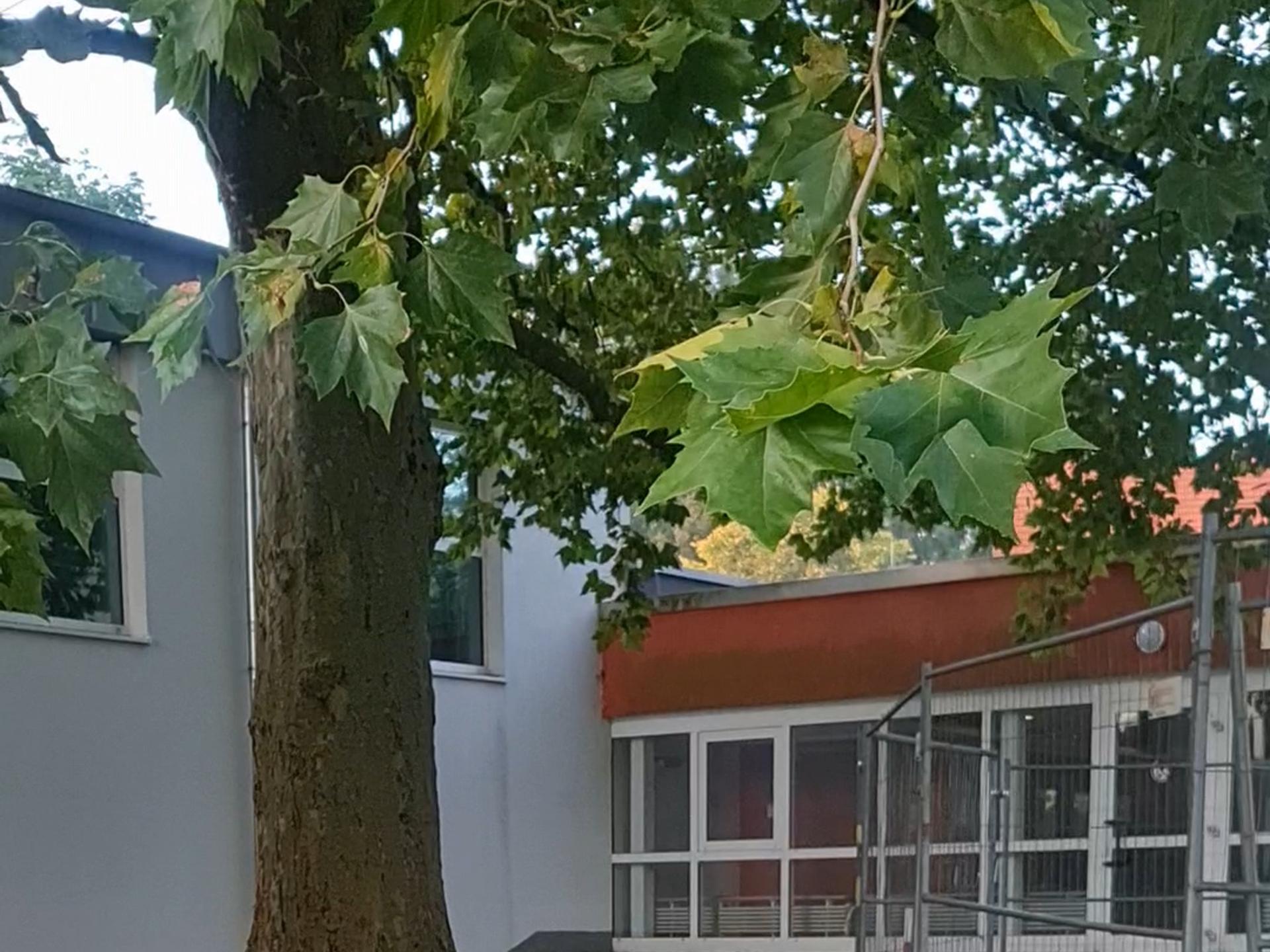 Ansicht 3 von Ben Asemissen