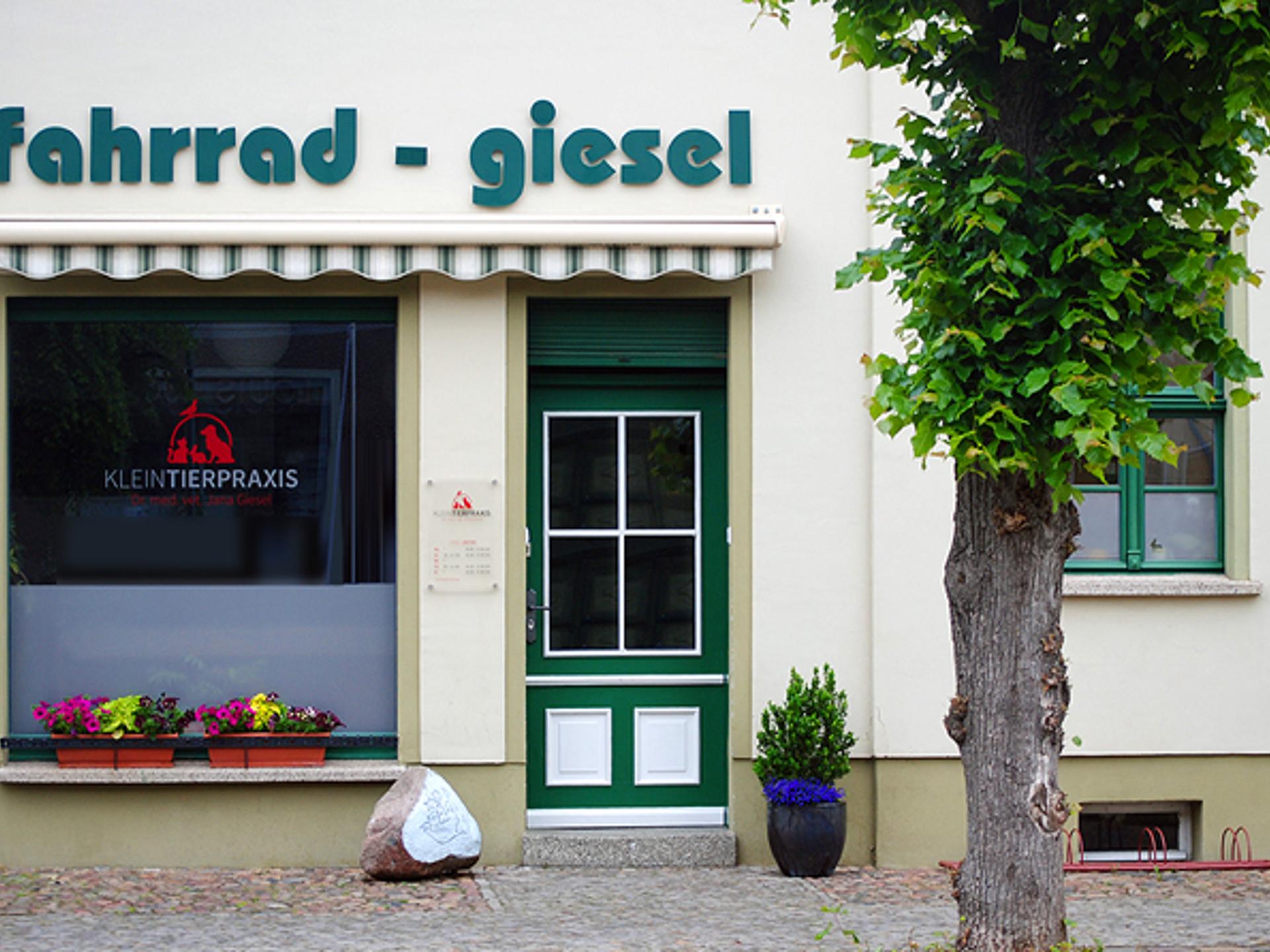Ansicht 1 von Jana Giesel