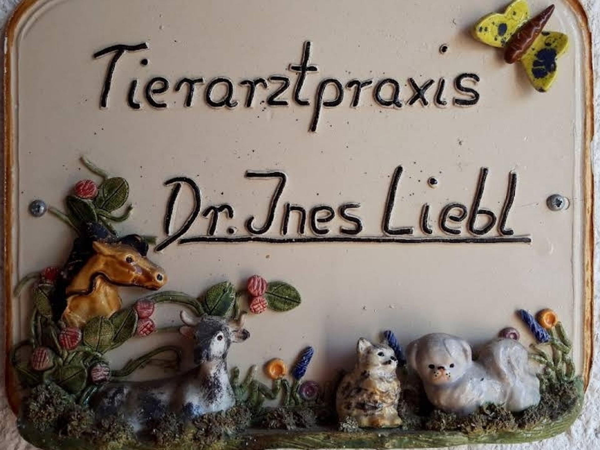 Ansicht 3 von Dr.med.vet. Ines Liebl Tierärztin