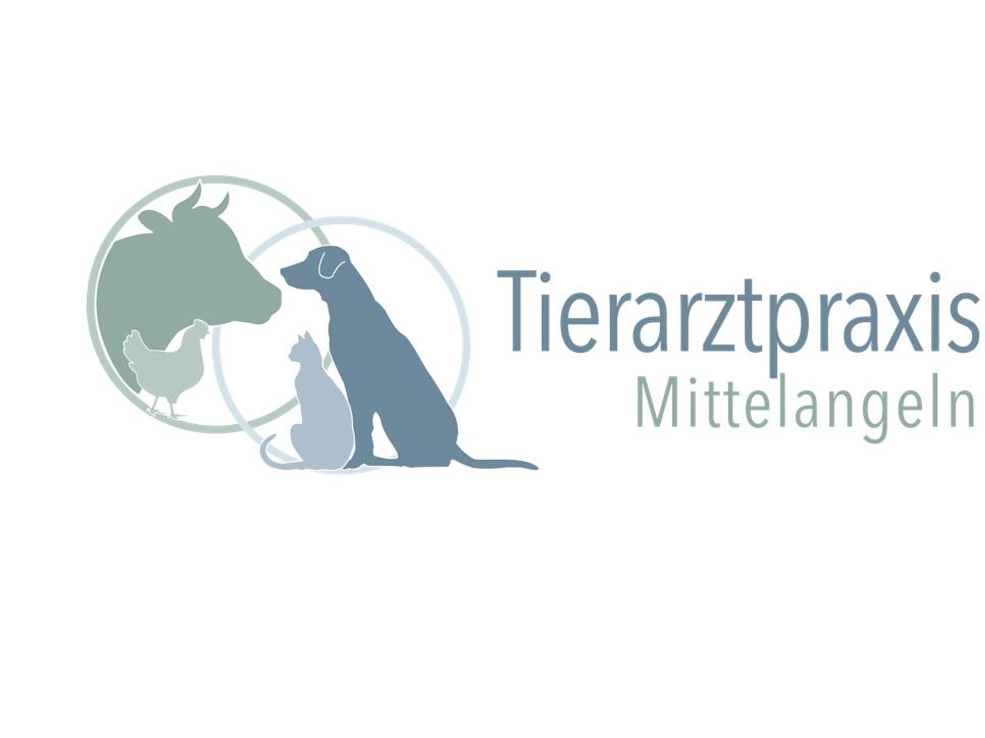 Ansicht 2 von Tierarztpraxis Mittelangeln