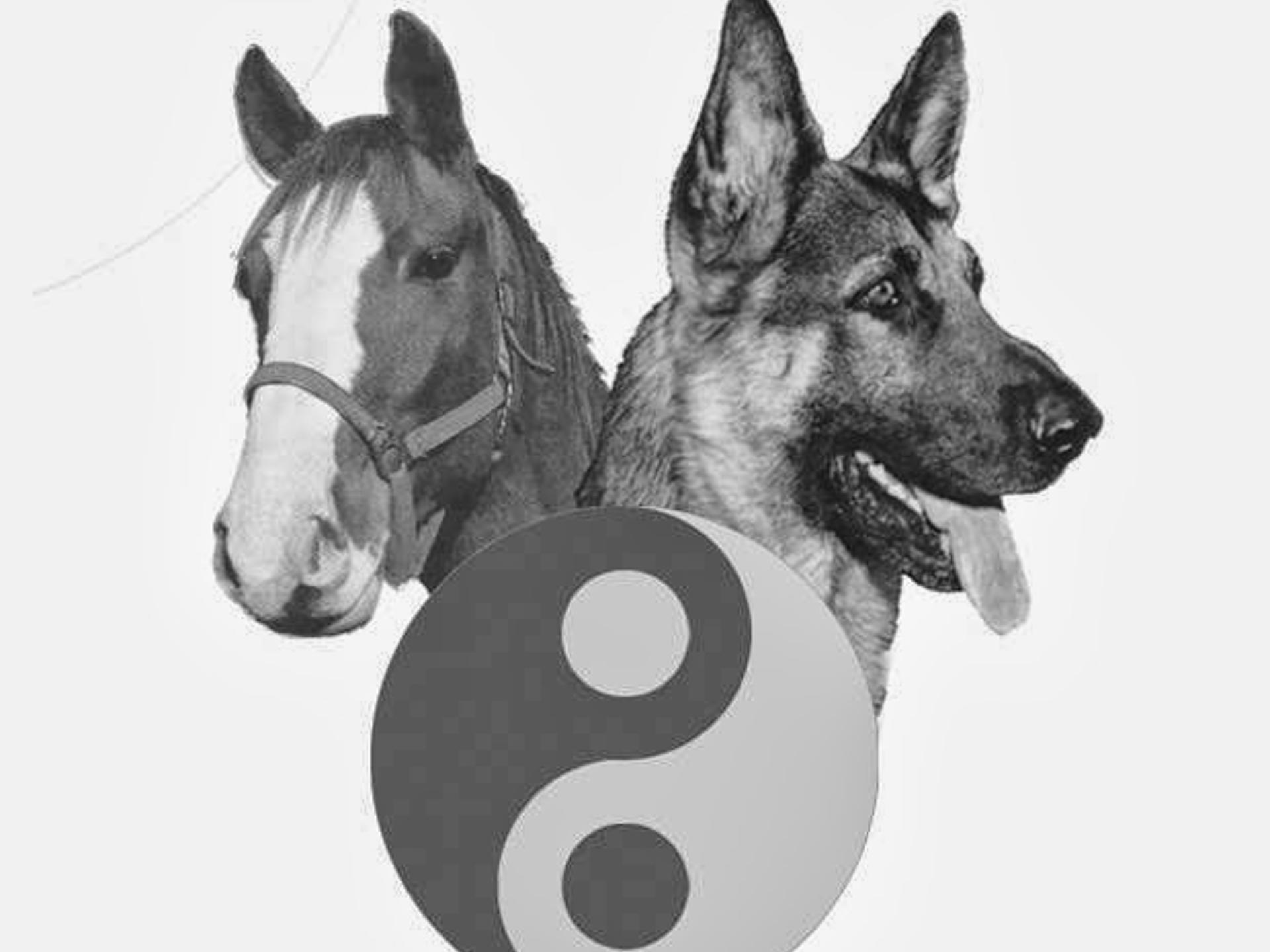 Ansicht 1 von Tierarztpraxis für Physiotherapie und Akupunktur