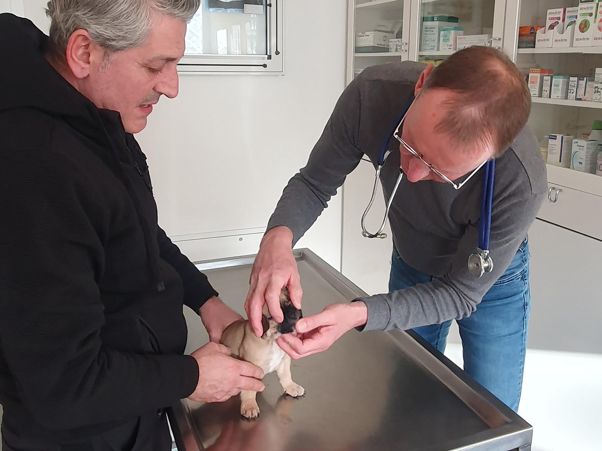 Ansicht 3 von Dr.med.vet. Claus Funke