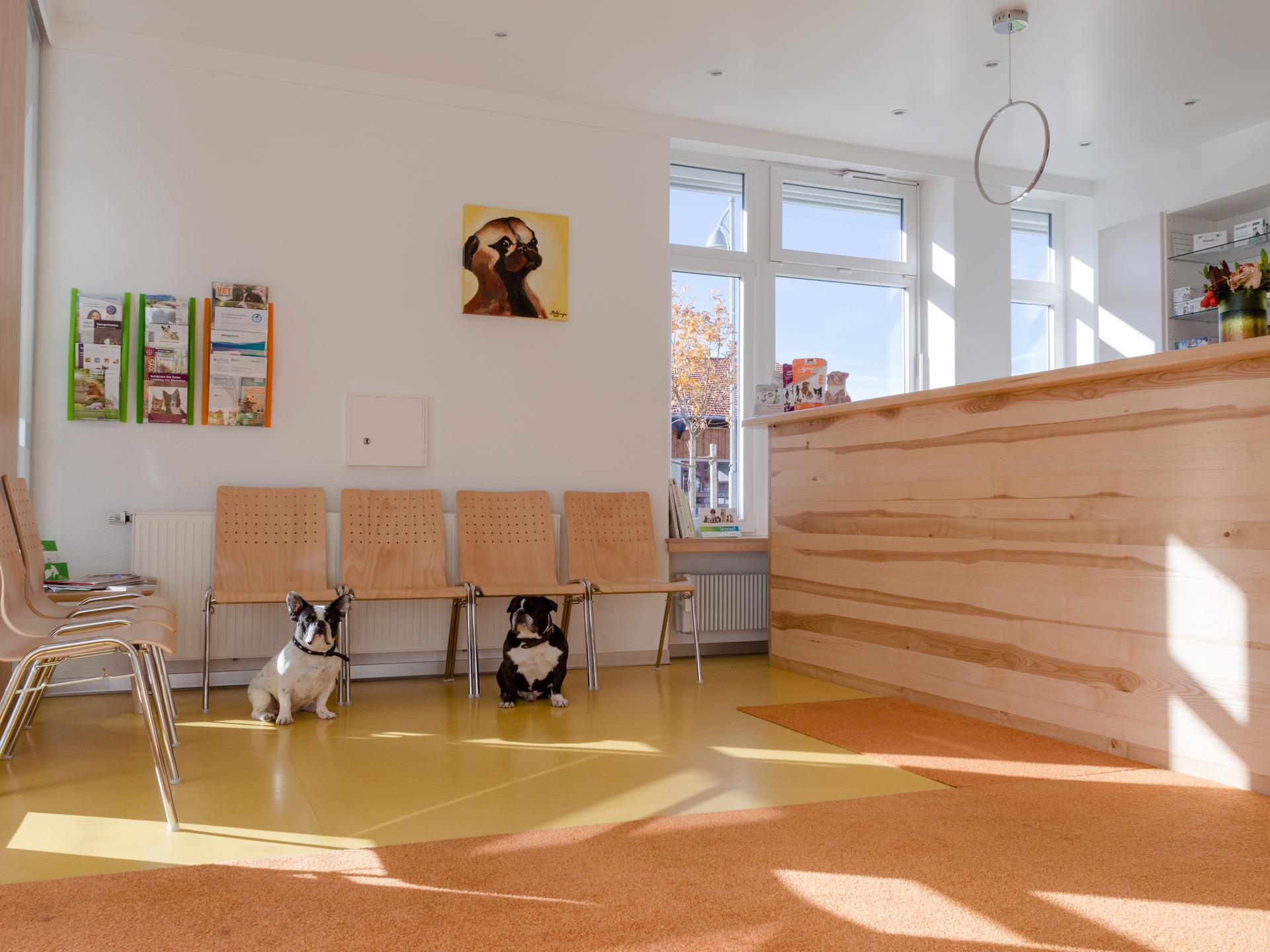 Ansicht 3 von Tierarztpraxis Hopferau