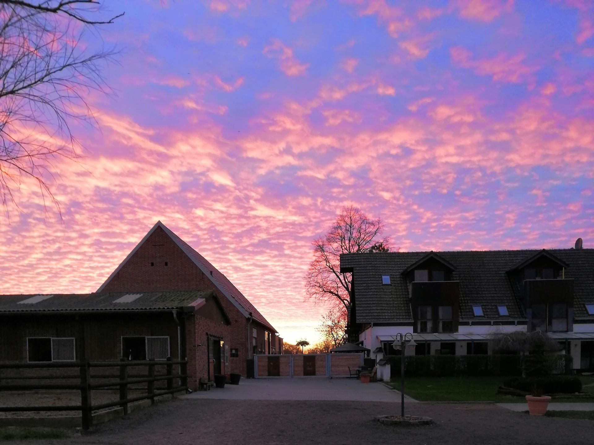 Ansicht 2 von Trainingscenter Versteeg