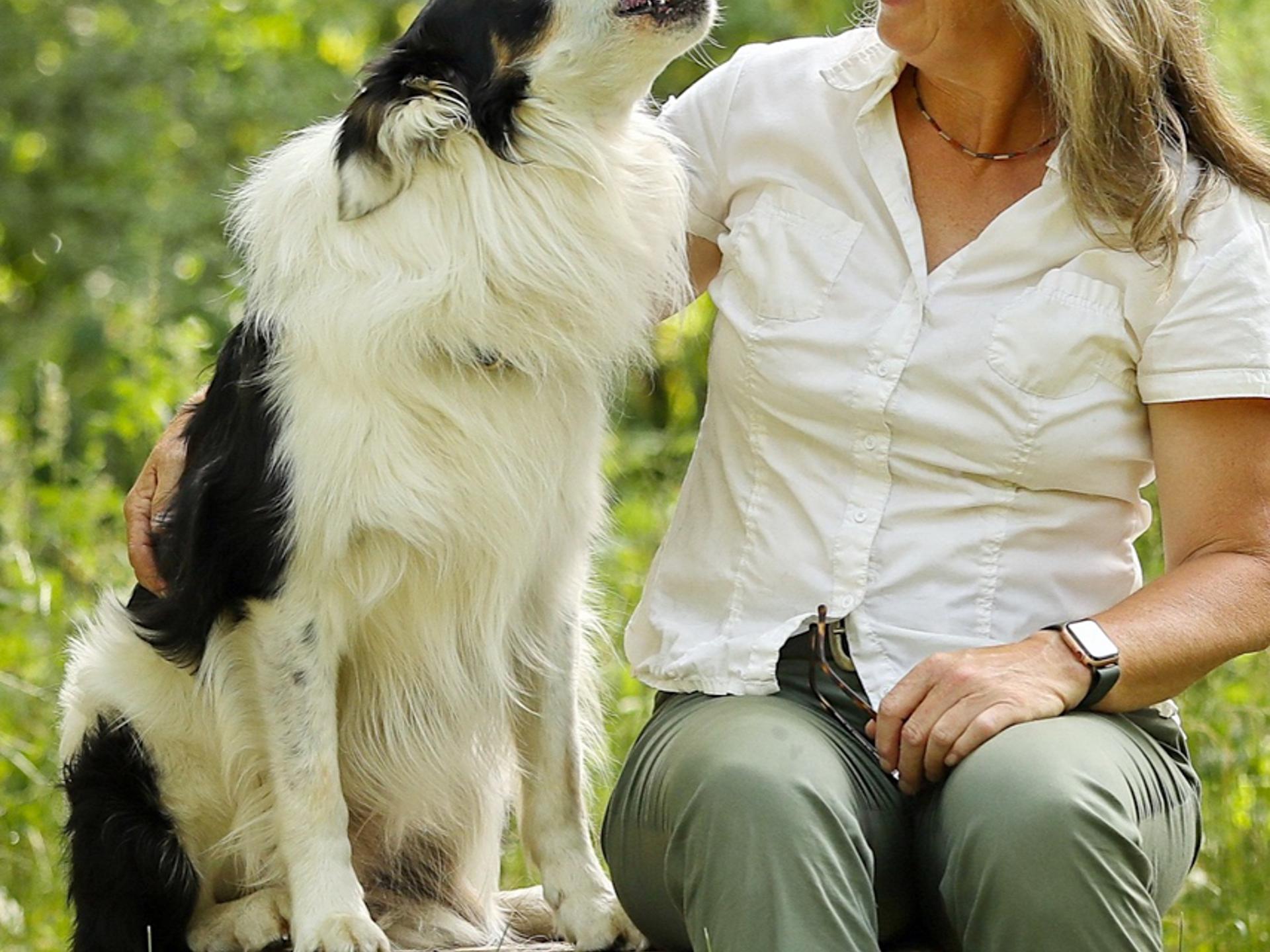 Ansicht 1 von Tierarztpraxis Dr. Viola Hebeler Fachtierärztin für Pferde / Sportmedizin Hund