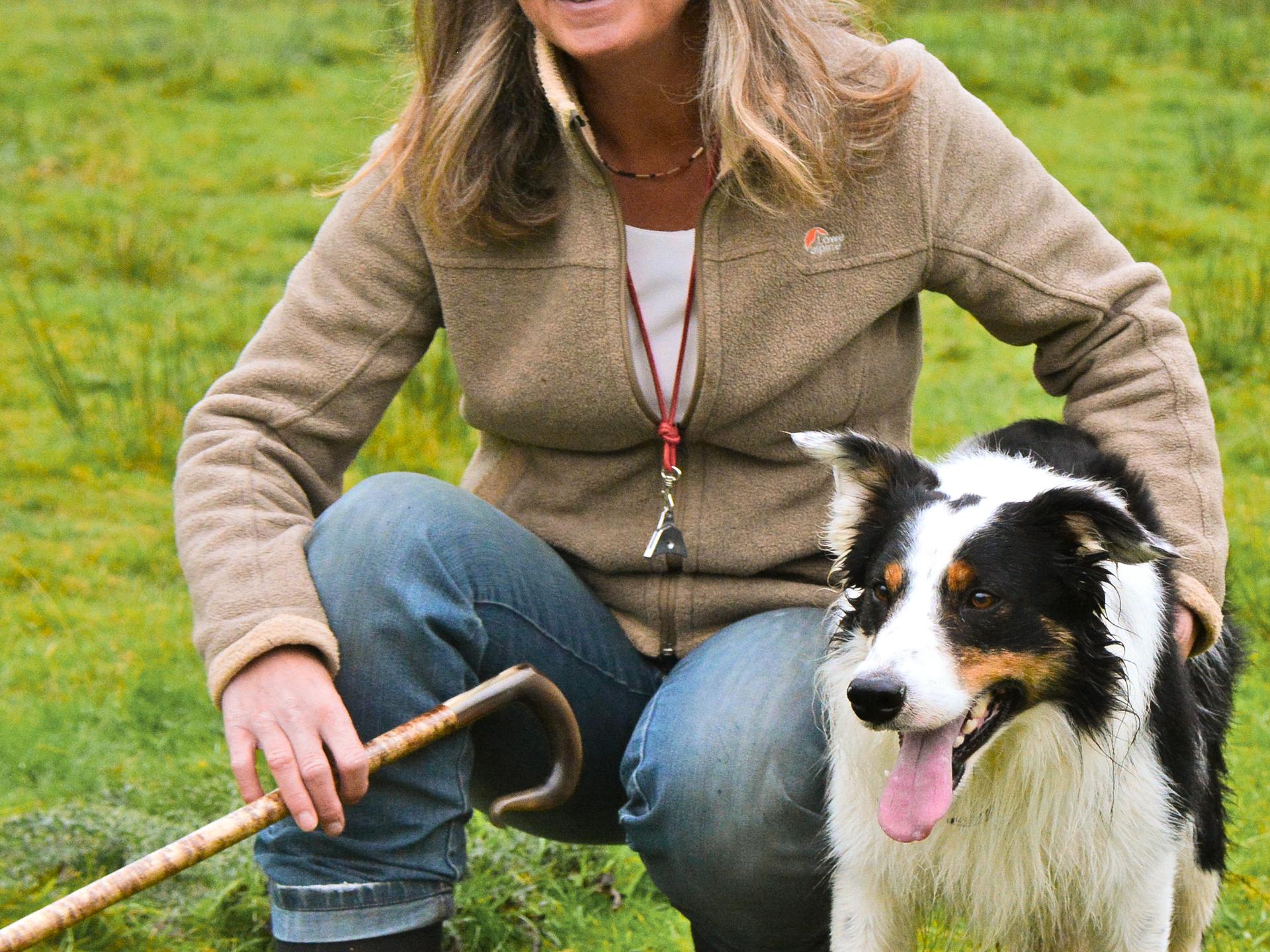 Ansicht 2 von Tierarztpraxis Dr. Viola Hebeler Fachtierärztin für Pferde / Sportmedizin Hund