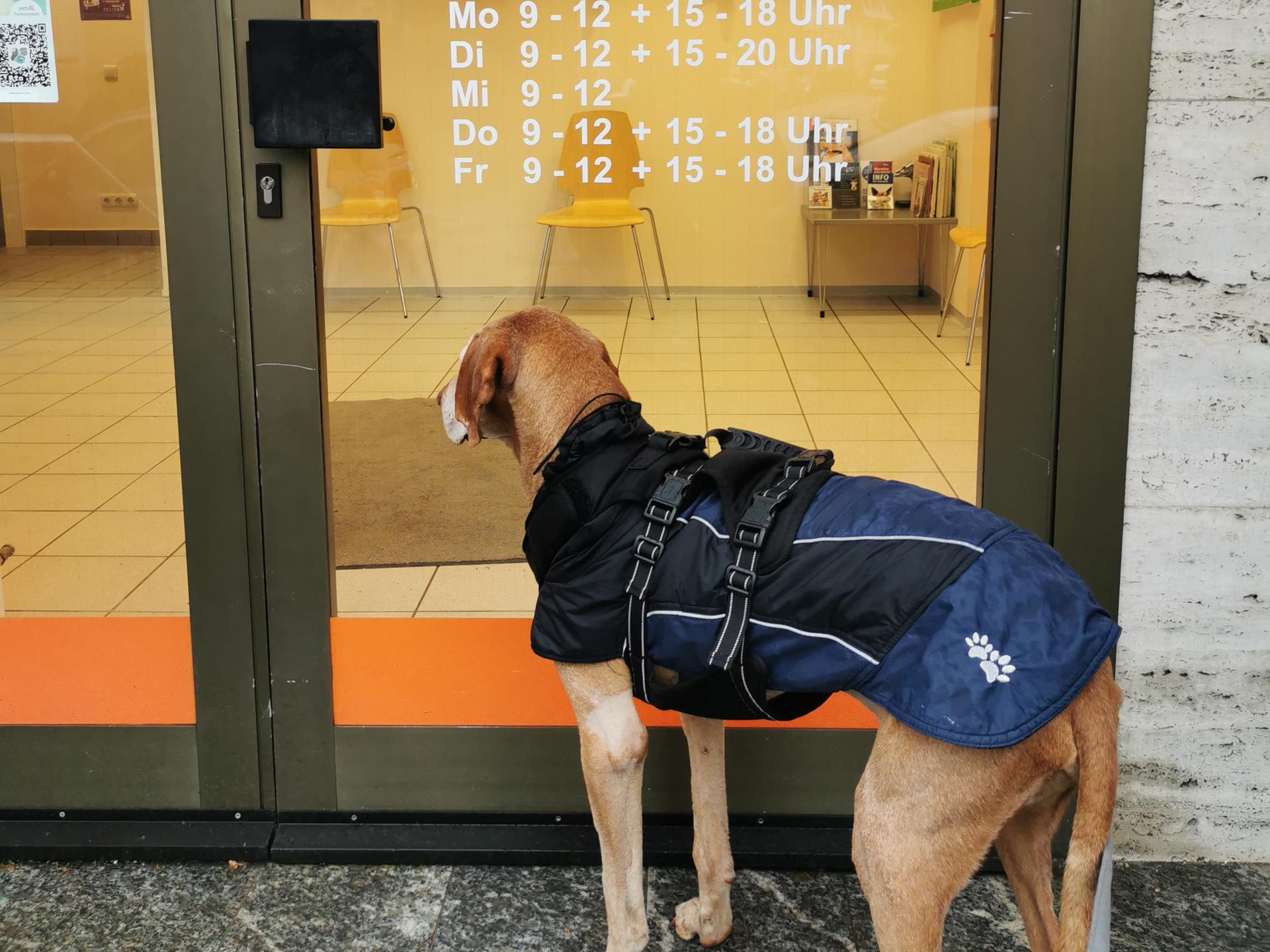 Ansicht 2 von Dr. med.vet. Annabelle Culas