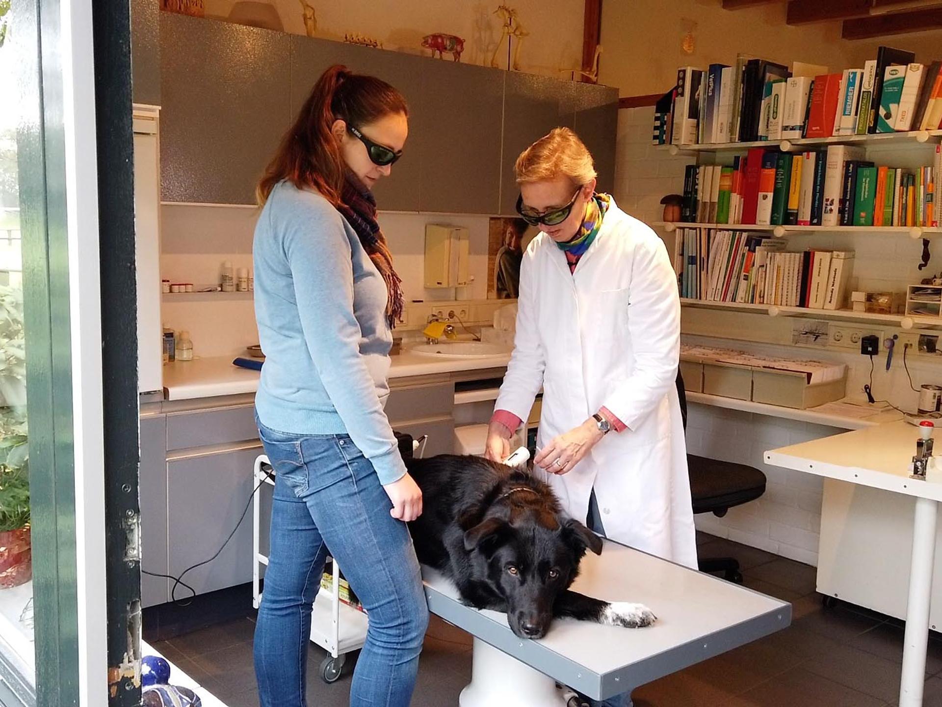 Ansicht 2 von Dr. Christine Menges Tierärztin