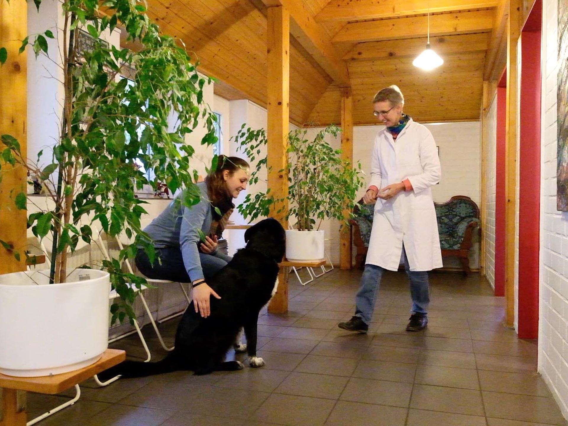 Ansicht 3 von Dr. Christine Menges Tierärztin