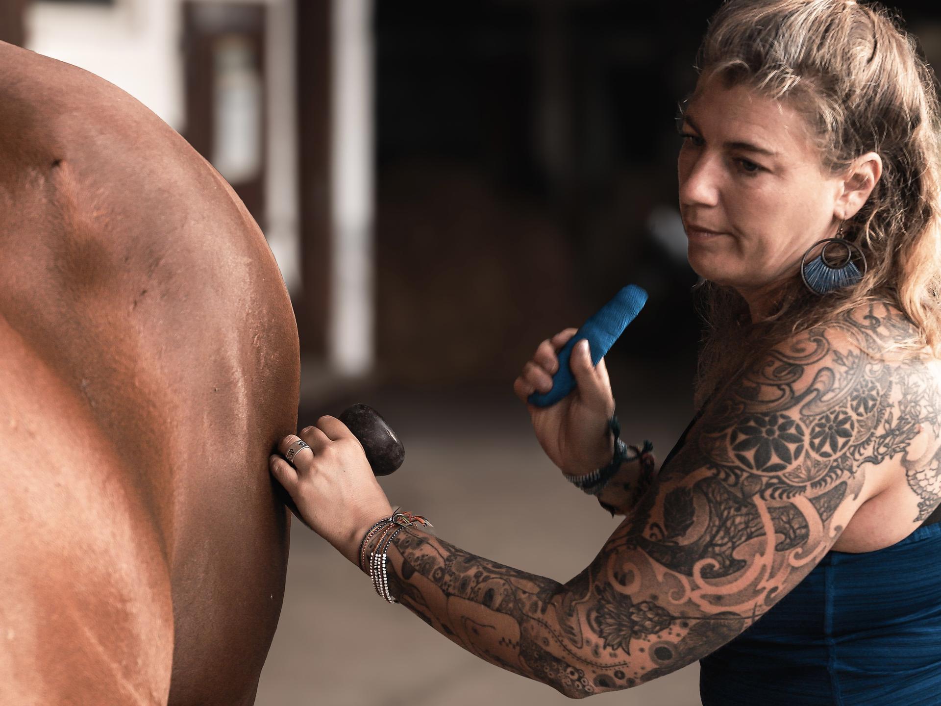 Ansicht 2 von Tierärztin Dorothea Weber Pferdemedizin und Osteopathie