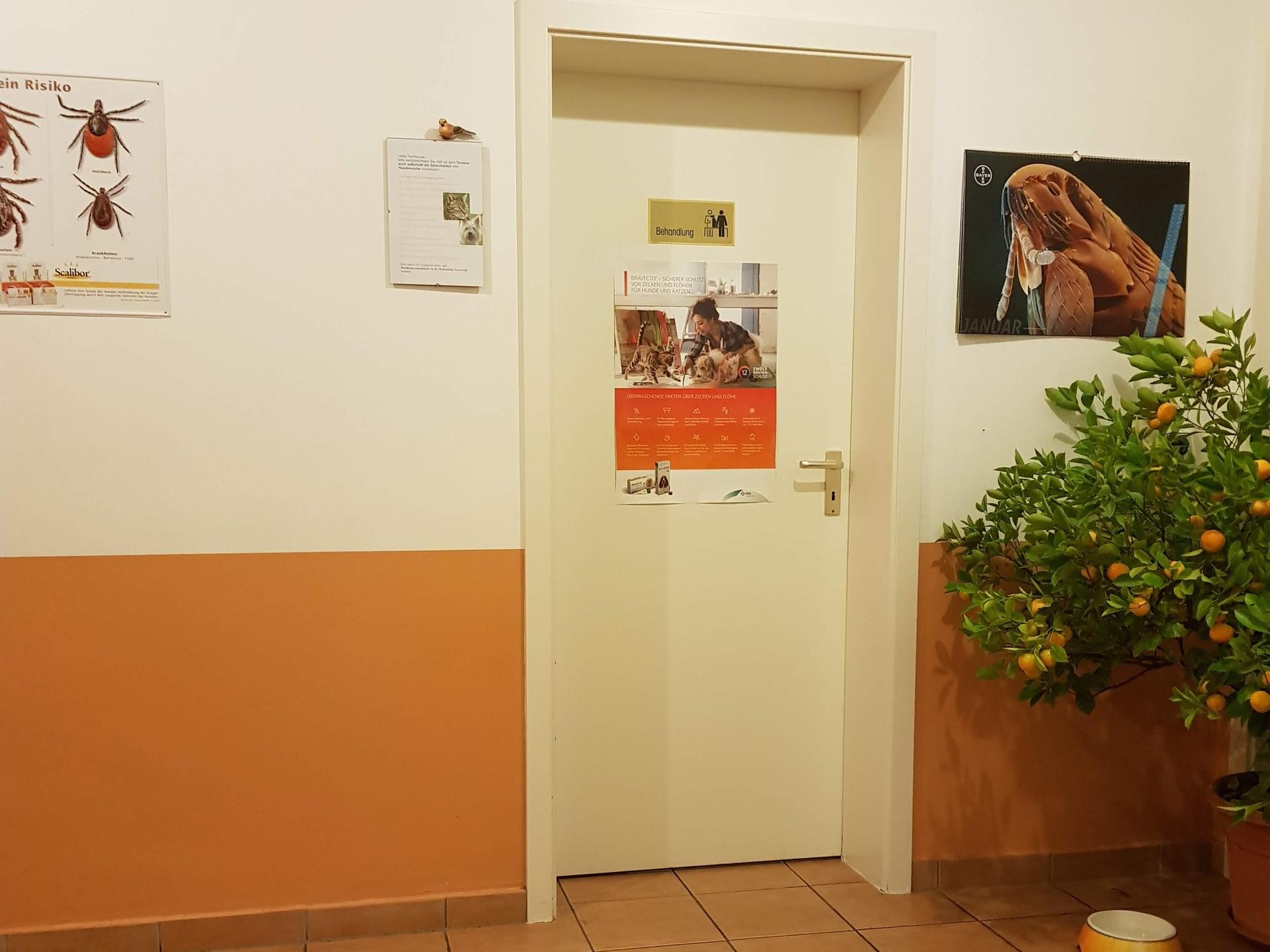 Ansicht 1 von Tierarztpraxis Dr. Torsten Trautvetter