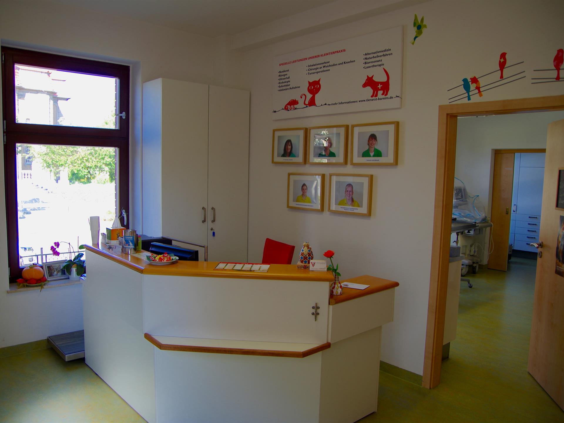Ansicht 3 von Tierarzt Biesenthal