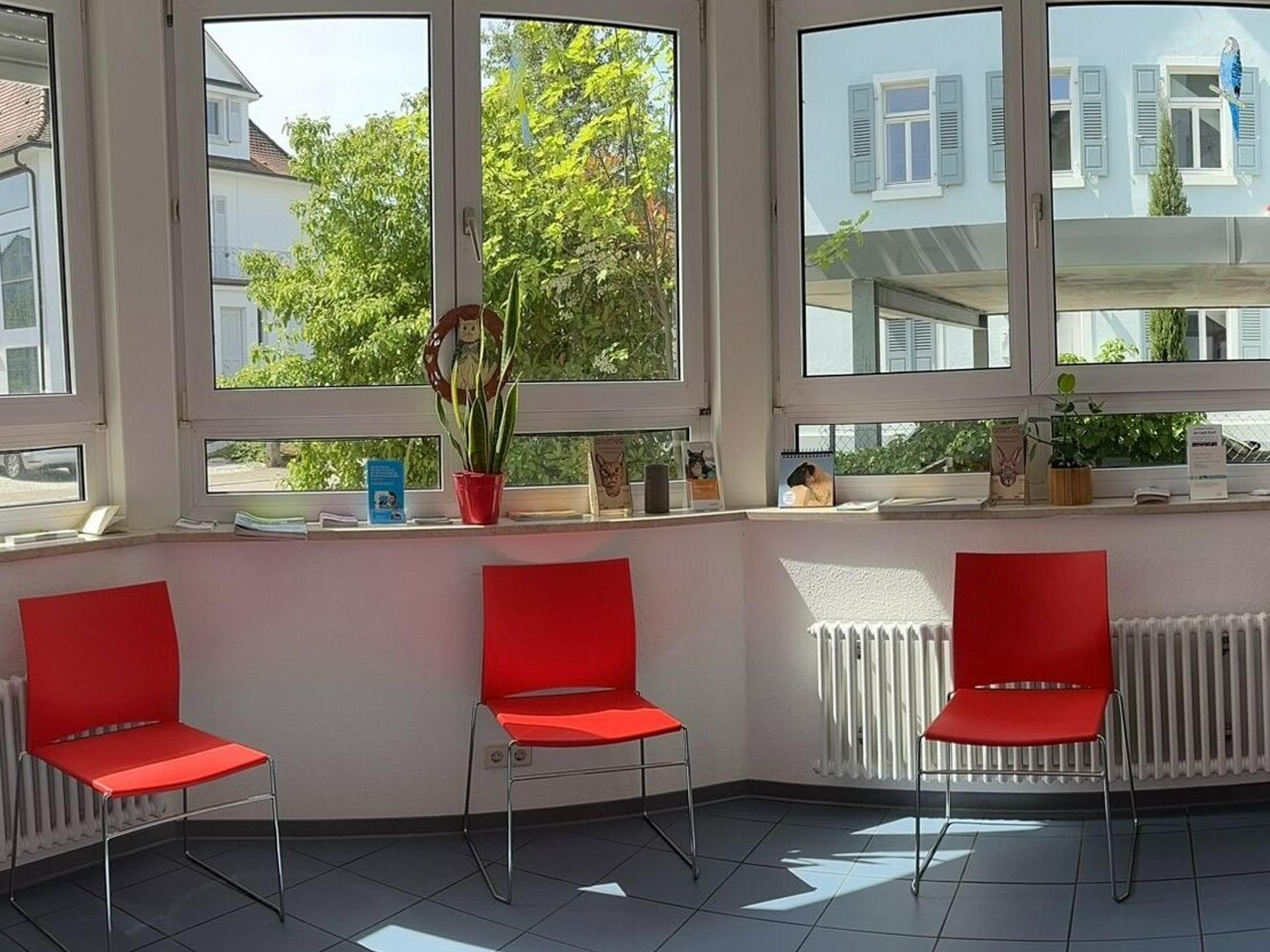 Ansicht 2 von Tierarztpraxis Azizi