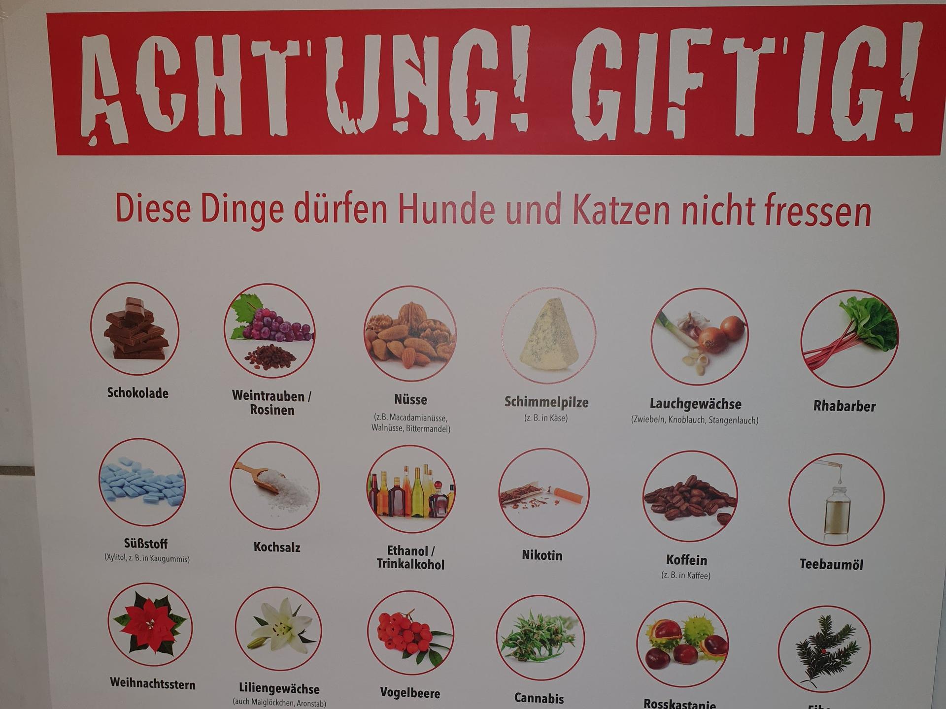 Ansicht 4 von Kerstin Platt-Siefert