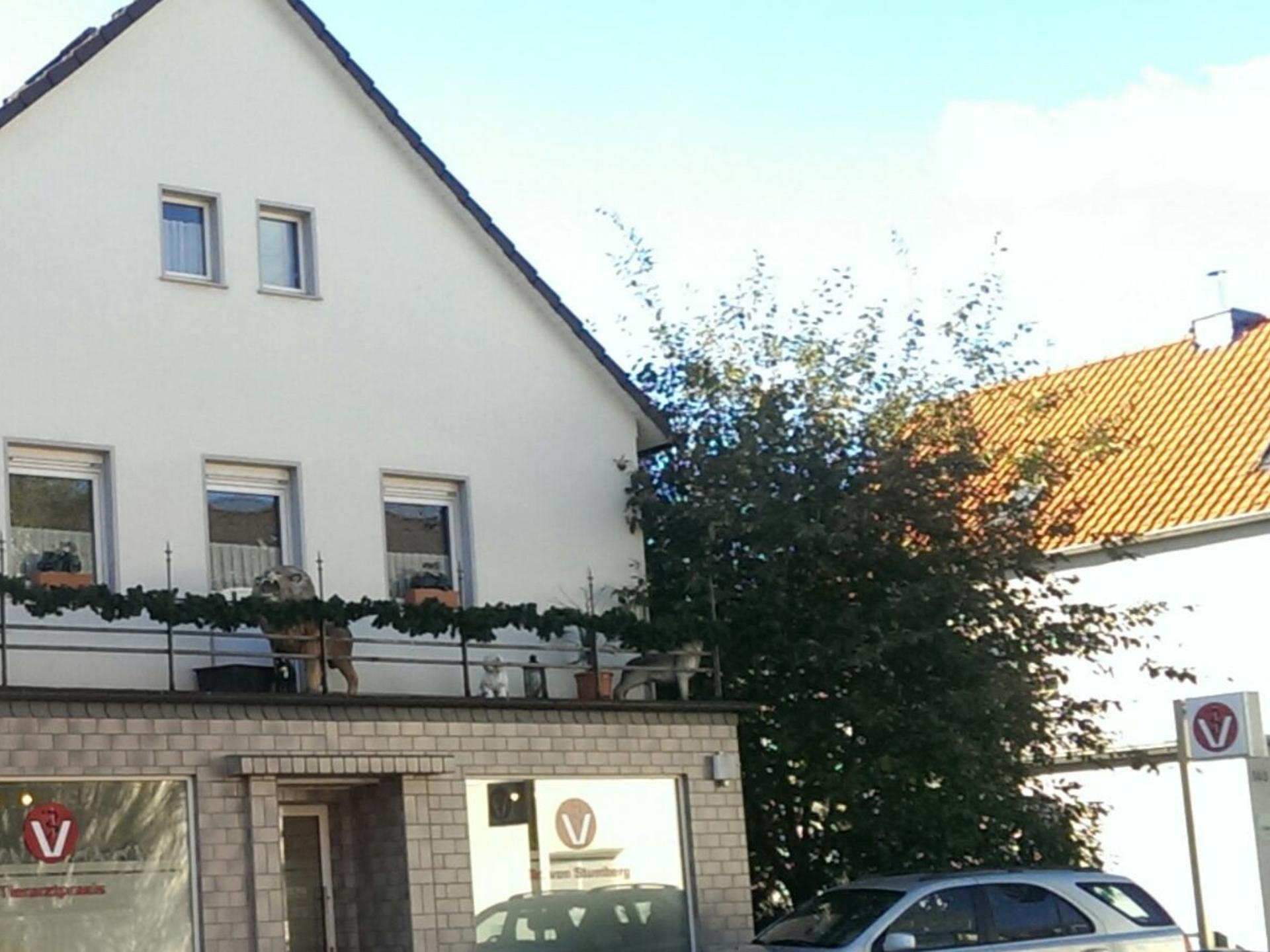 Ansicht 3 von Tierarztpraxis Dr. von Stumberg