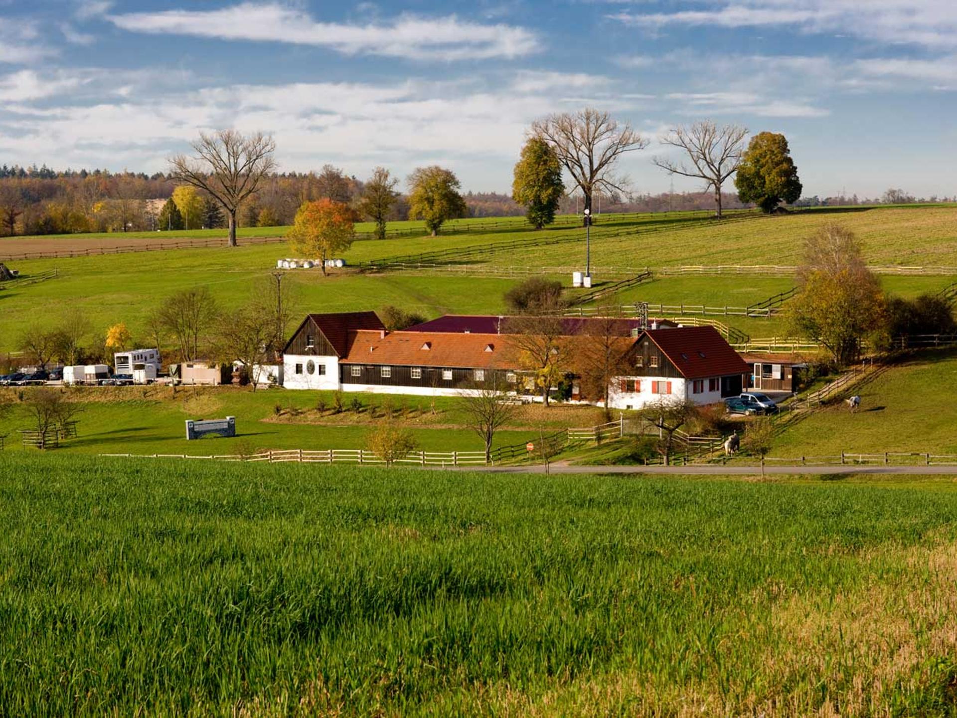 Ansicht 1 von Tierärztliches Zentrum für Pferde in Kirchheim Altano GmbH