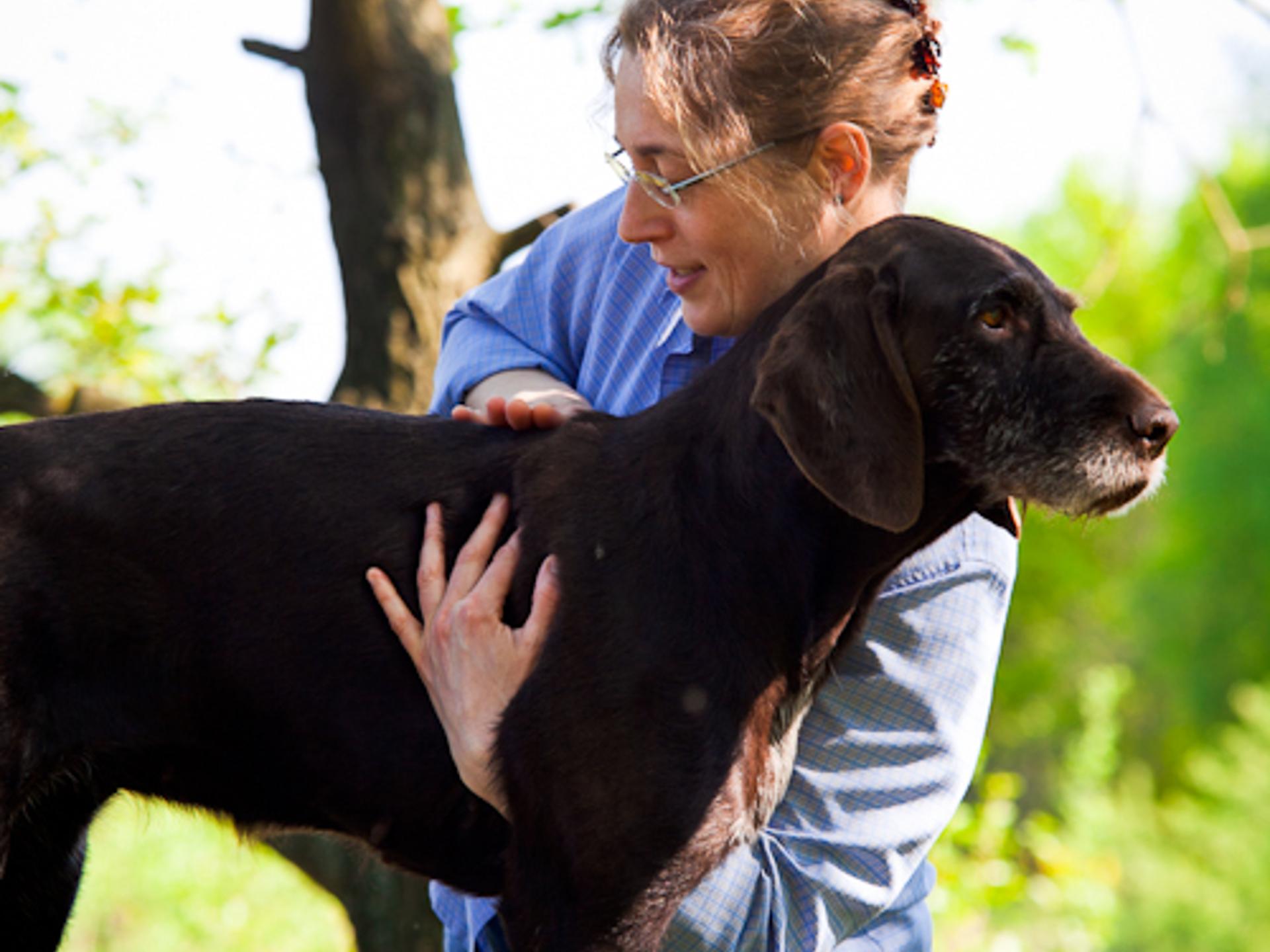 Ansicht 3 von Tierärztliche Praxis für Akupunktur und Chiropraktik Dr. med. vet. Natascha Keunecke