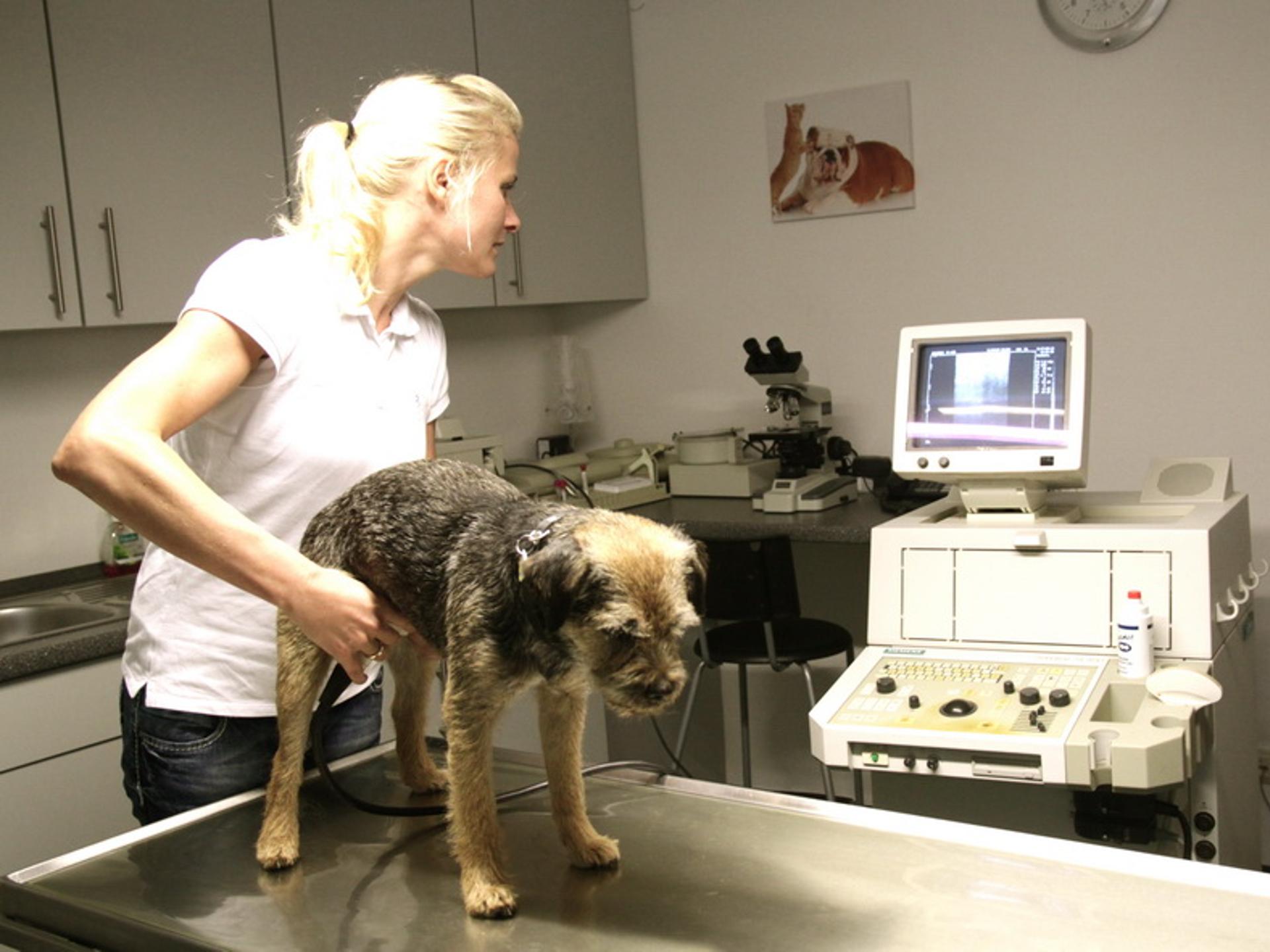 View 2 of Dr.Ulrike Baackmann und Dr.Claudia Westrup -Kleintierpraxis-