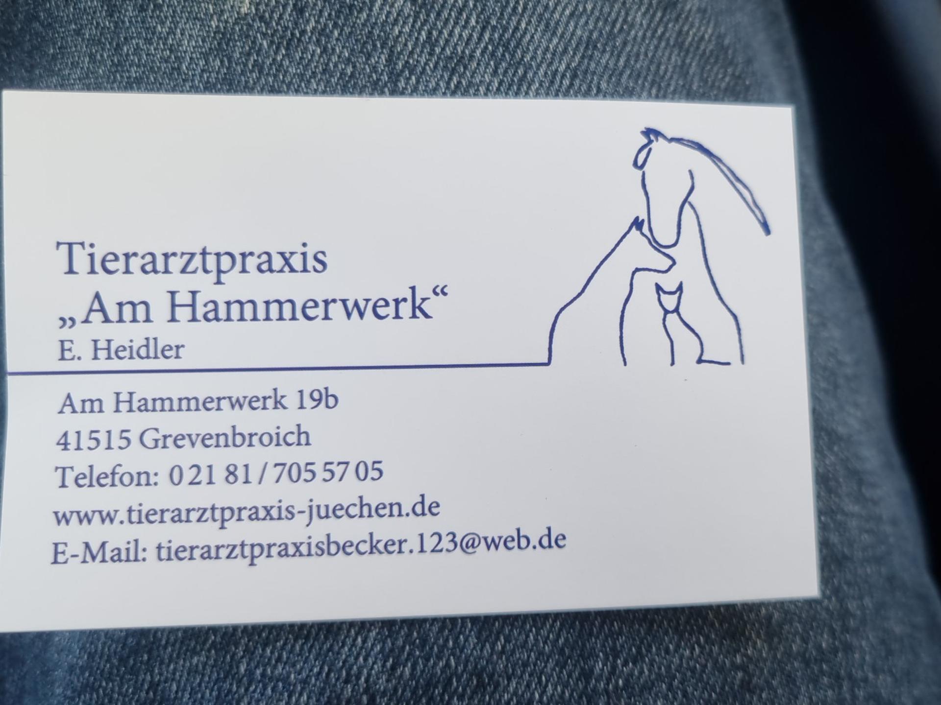 Ansicht 3 von Erhard Becker