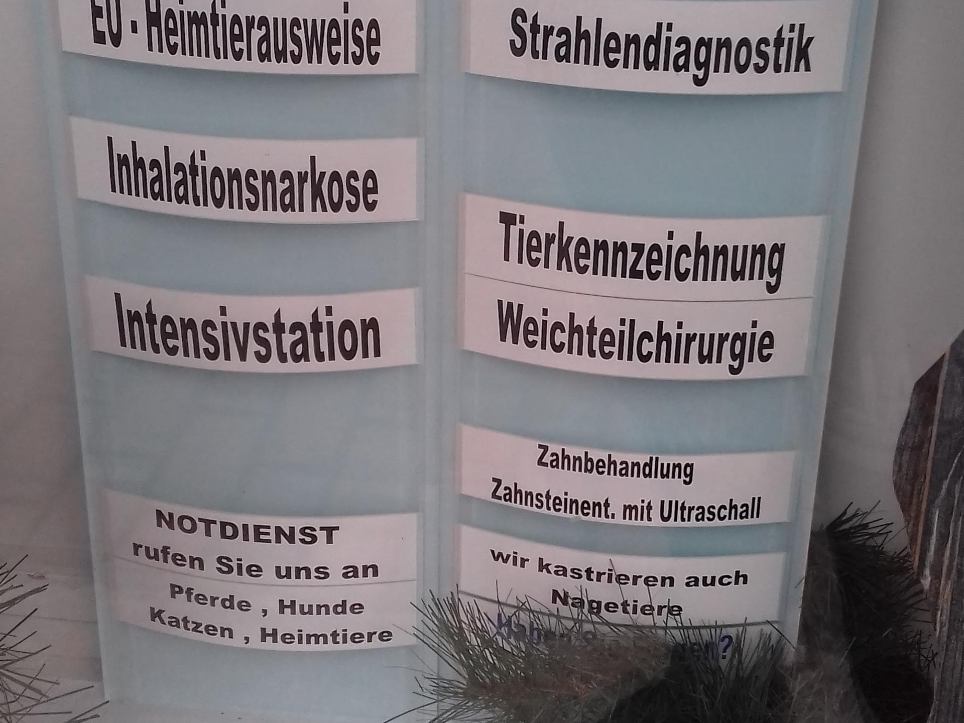 Ansicht 3 von Tierarztpraxis Gantert