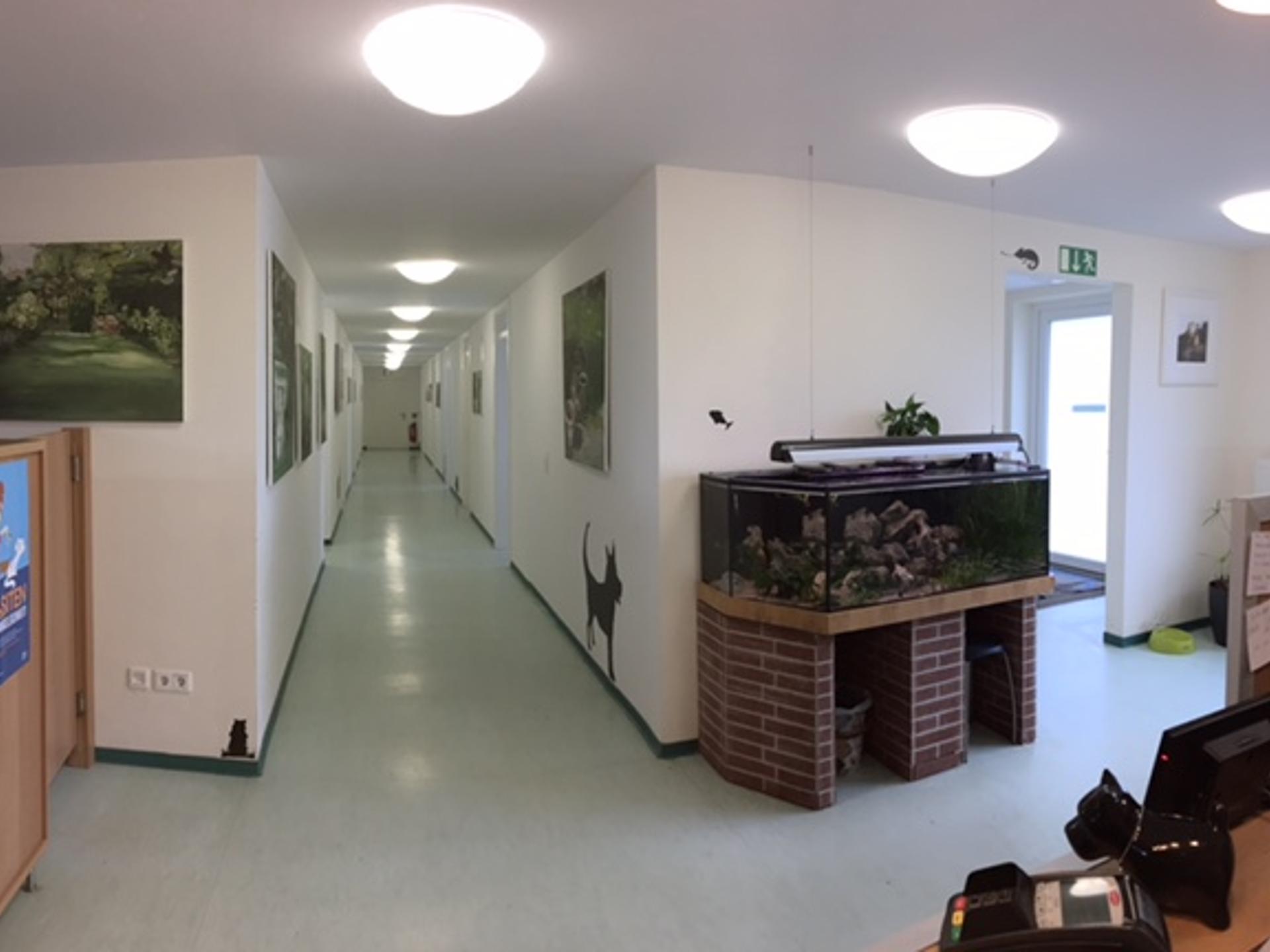 Ansicht 3 von Tierarztpraxis Dreisamtal prakt. TA Tanja Abend & Dr. Sylvia Strasser