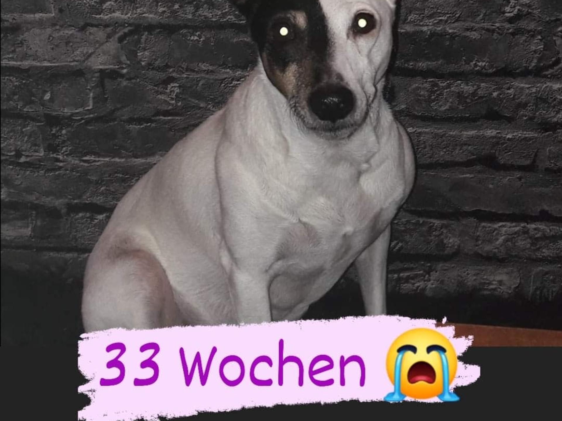 Ansicht 1 von Tierarztpraxis Feldmeyer