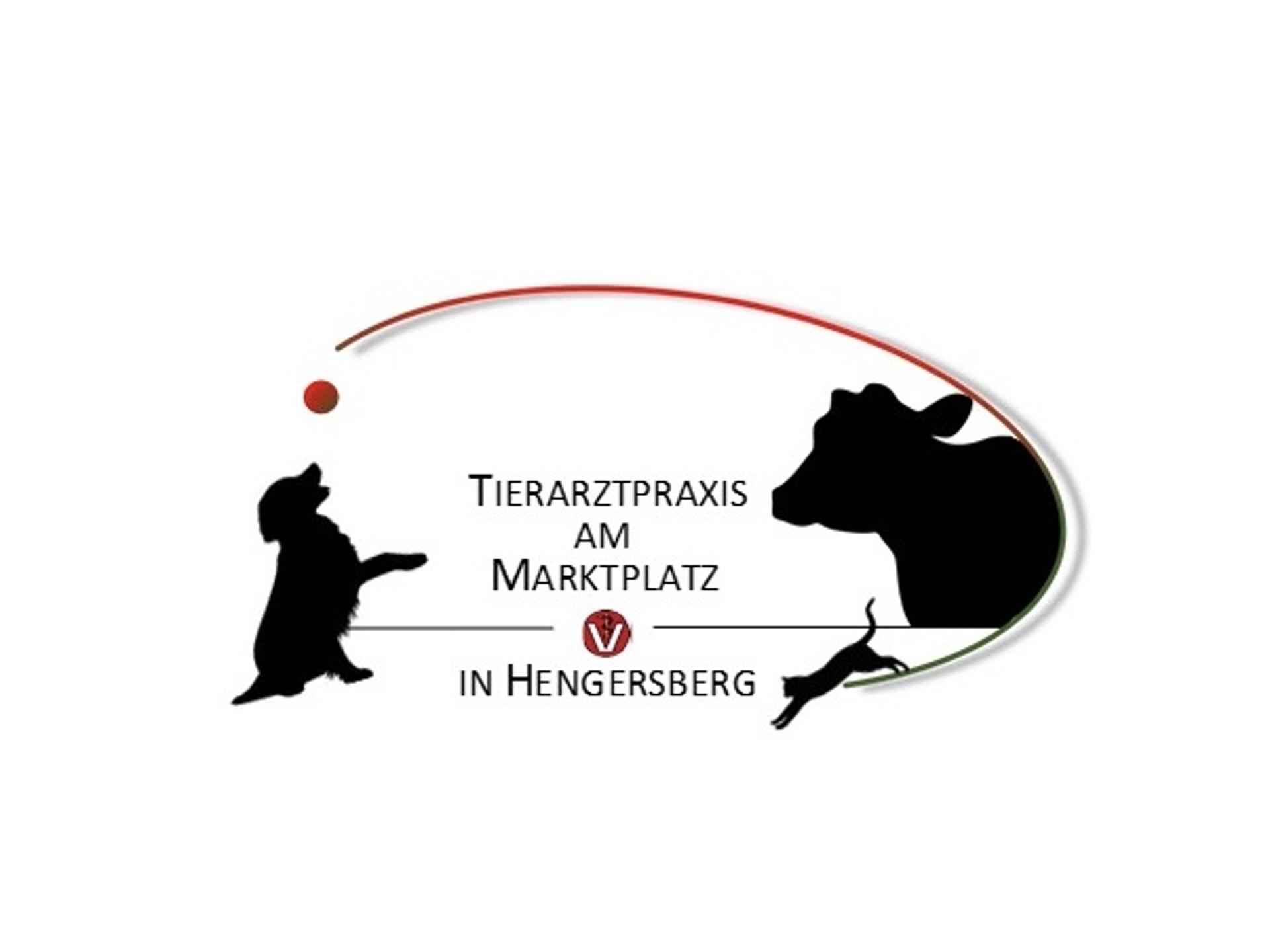 Ansicht 3 von Tierarztpraxis am Marktplatz