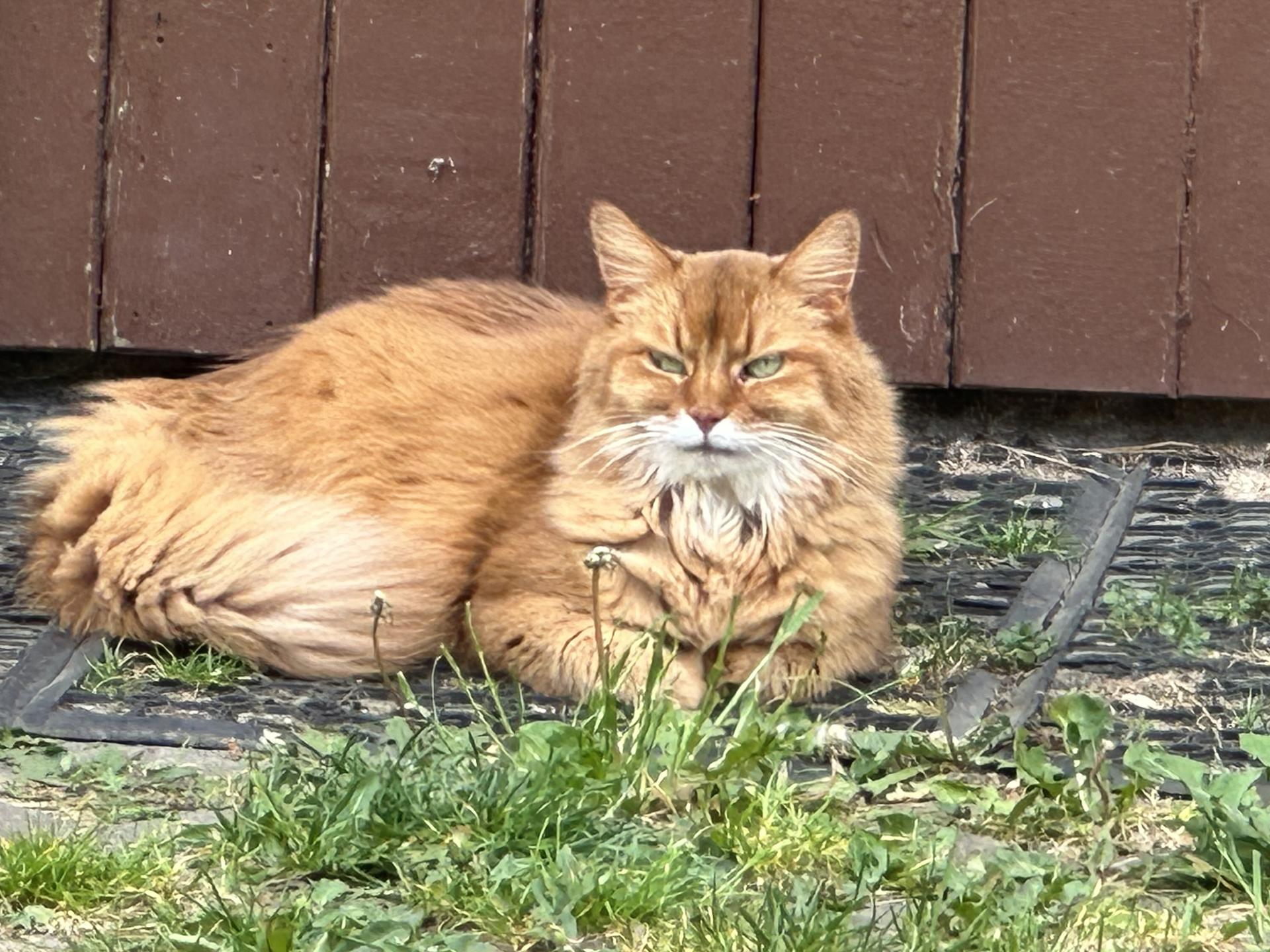 Ansicht 3 von Tierarztpraxis - Verena Kleinfeldt