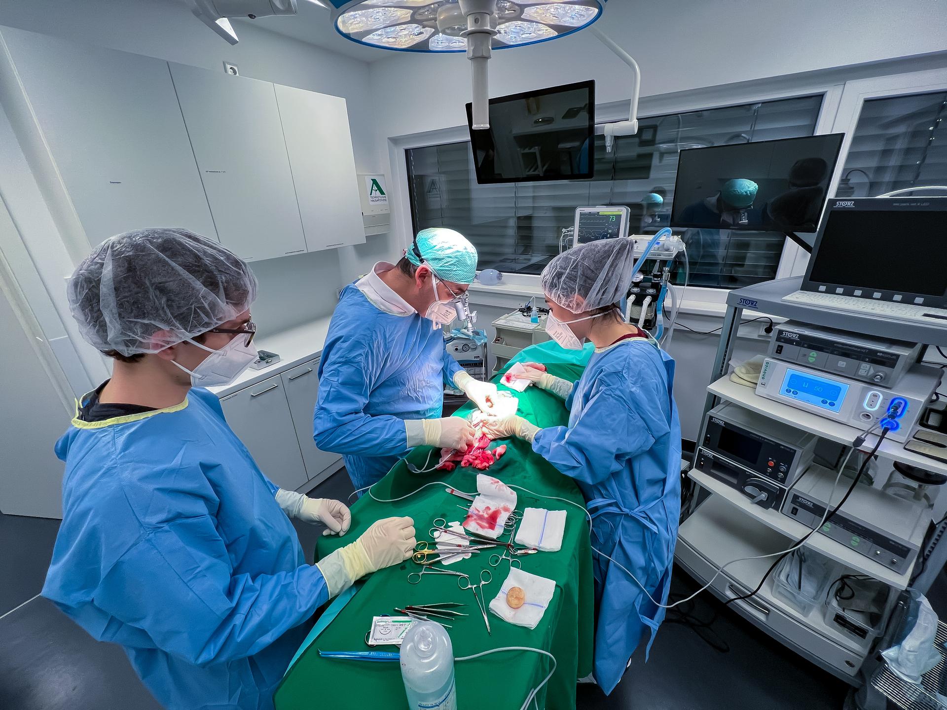 Ansicht 2 von Tierärztliches Gesundheitszentrum Töging GmbH