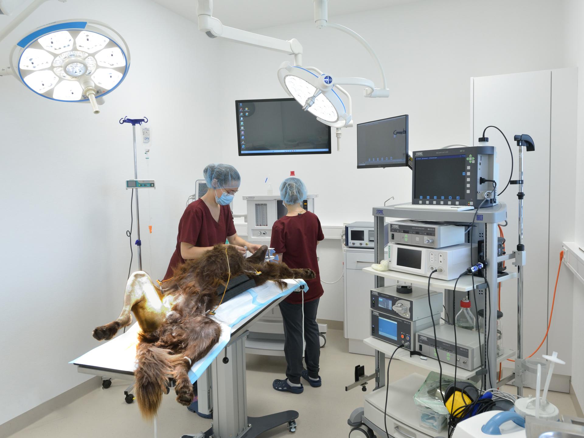 Ansicht 3 von Tierärztliches Gesundheitszentrum Töging GmbH