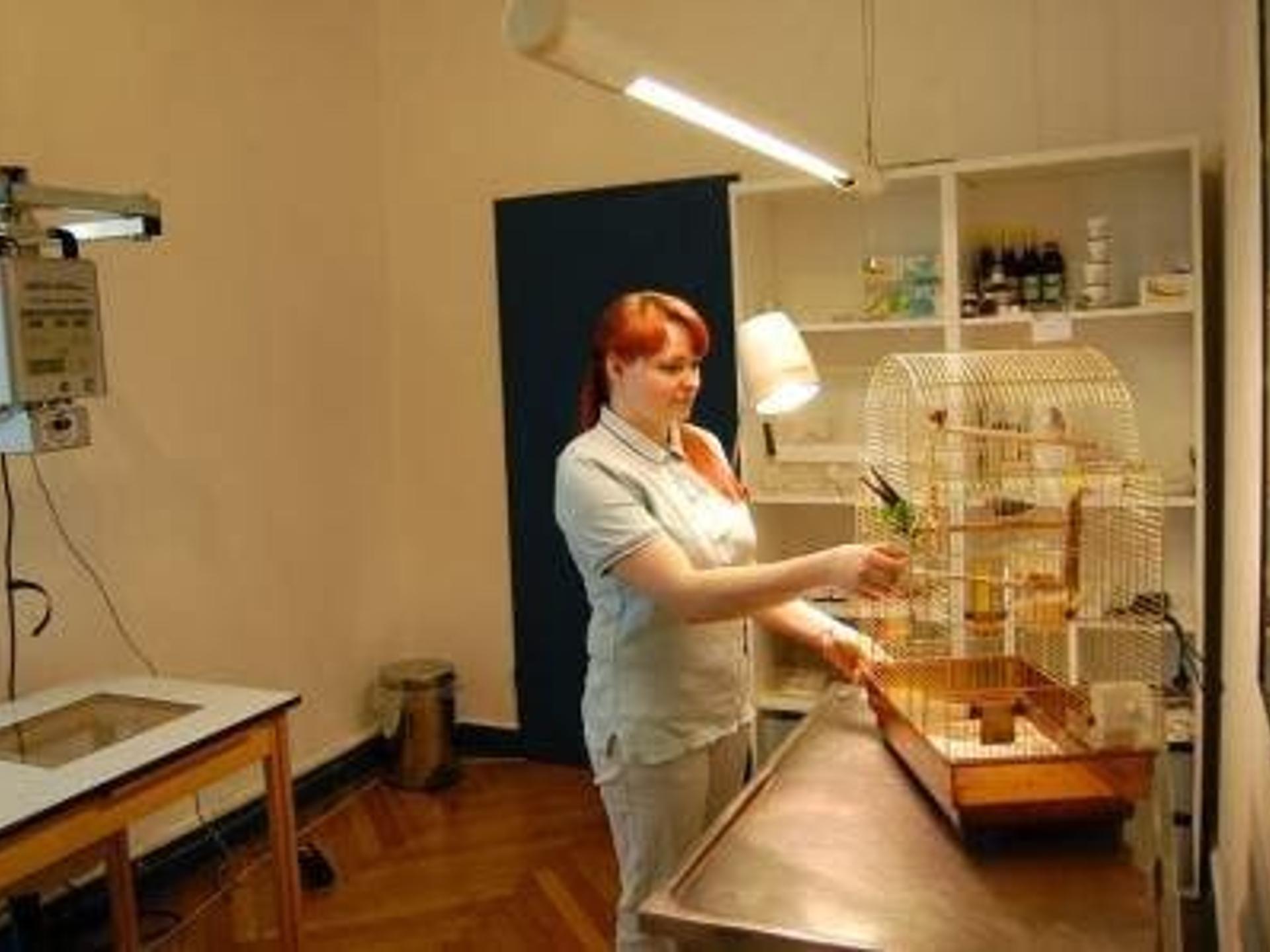 Ansicht 4 von Tierarztpraxis am Nollendorfplatz