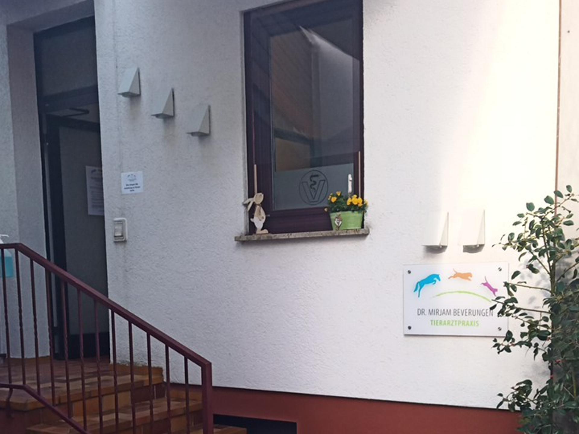 Ansicht 1 von Tierarztpraxis Dr. Mirjam Beverungen