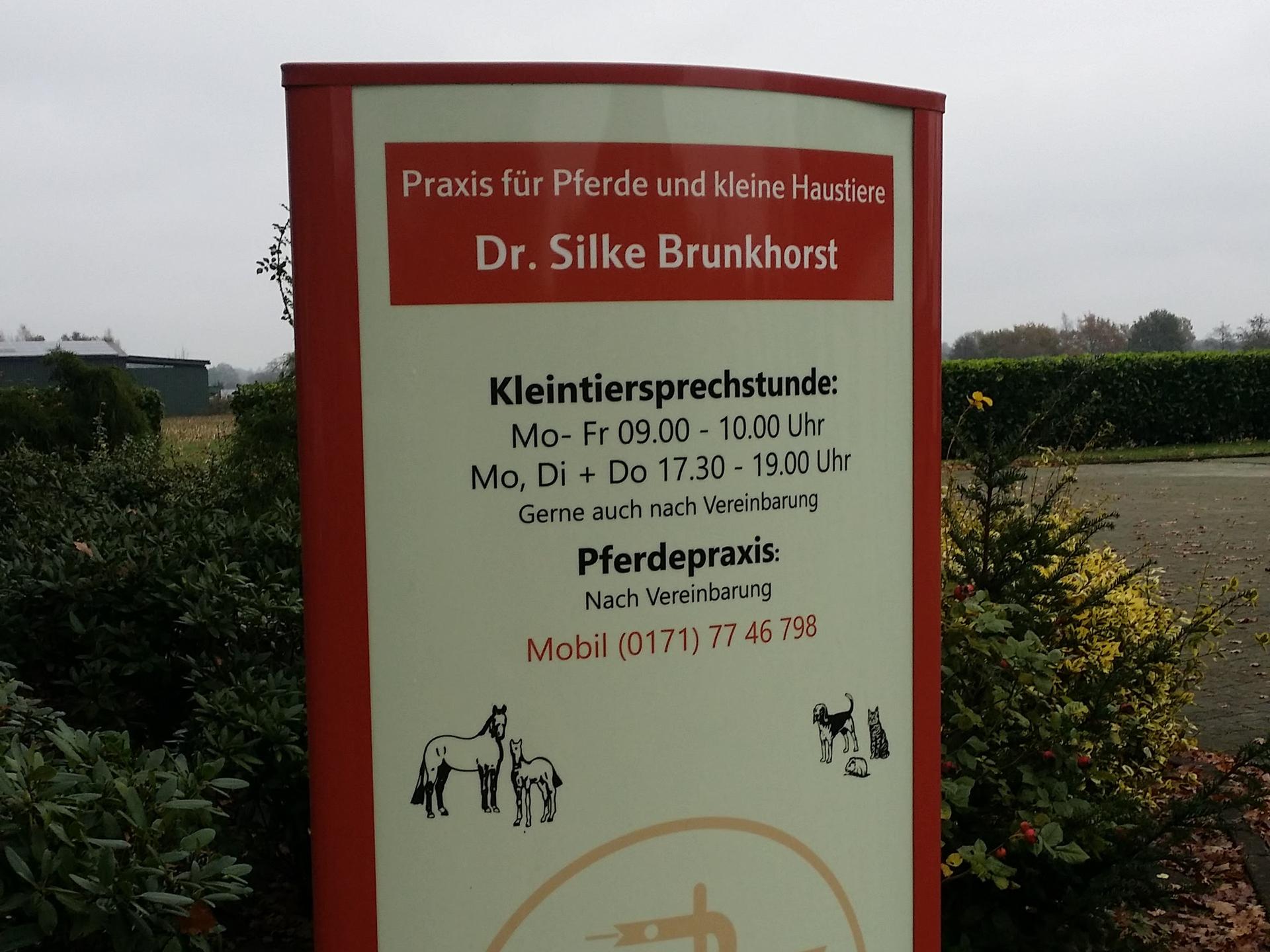 View 2 of Dr. Silke Brunkhorst