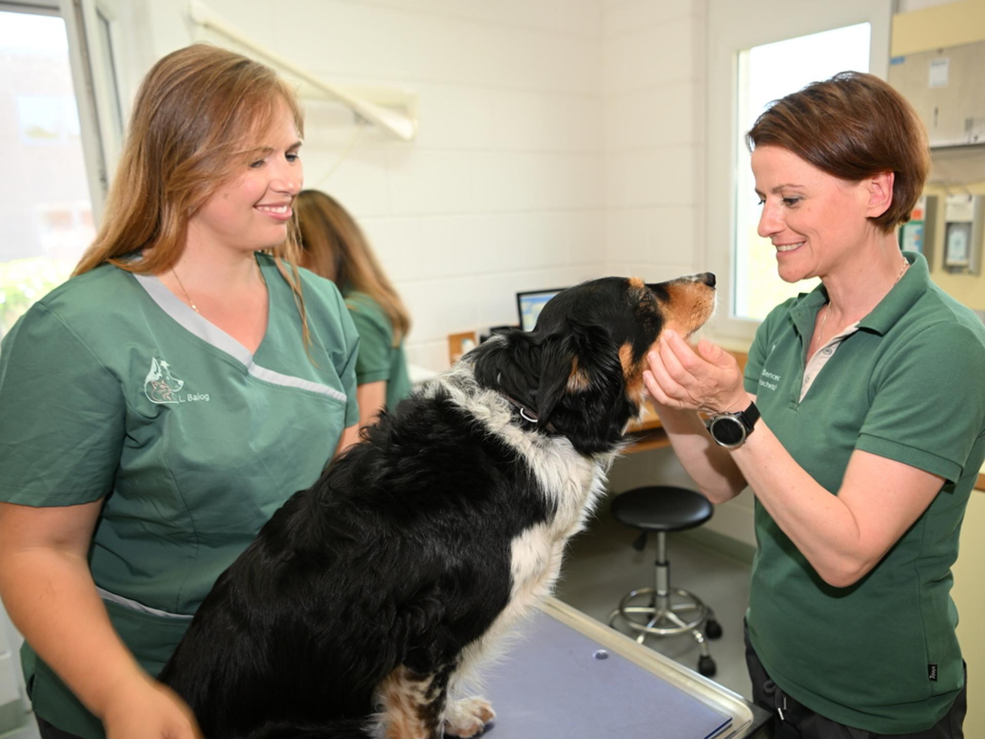 Ansicht 2 von Zentrum für Tiergesundheit Linkenheim-Hochstetten, Tierärztin Manuela Bencec