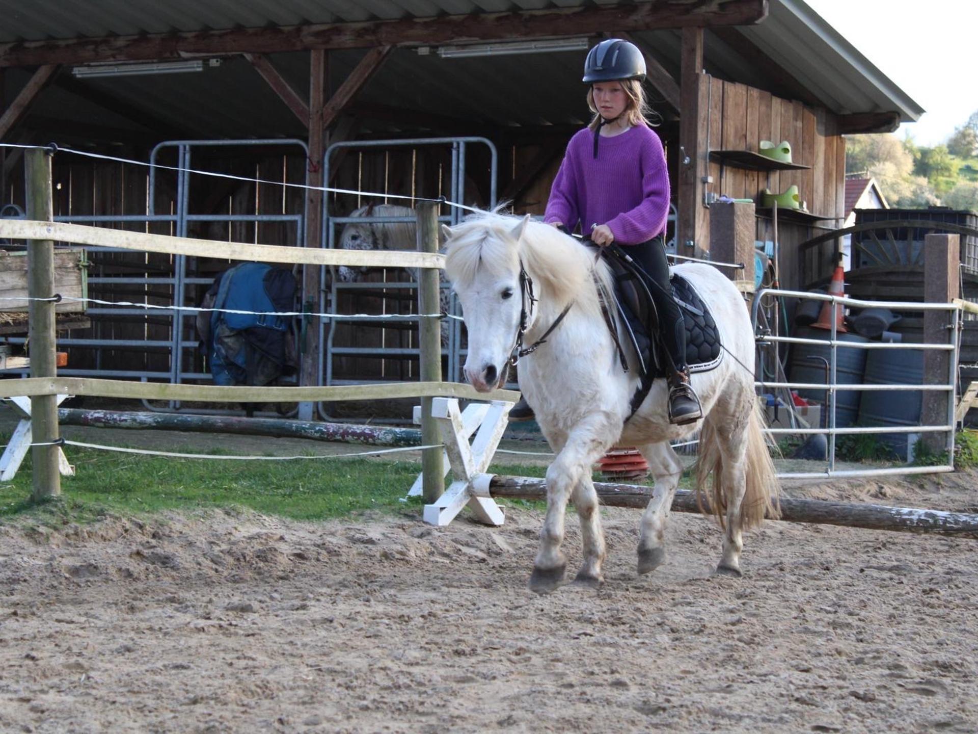 Ansicht 2 von Ponyhof Karger
