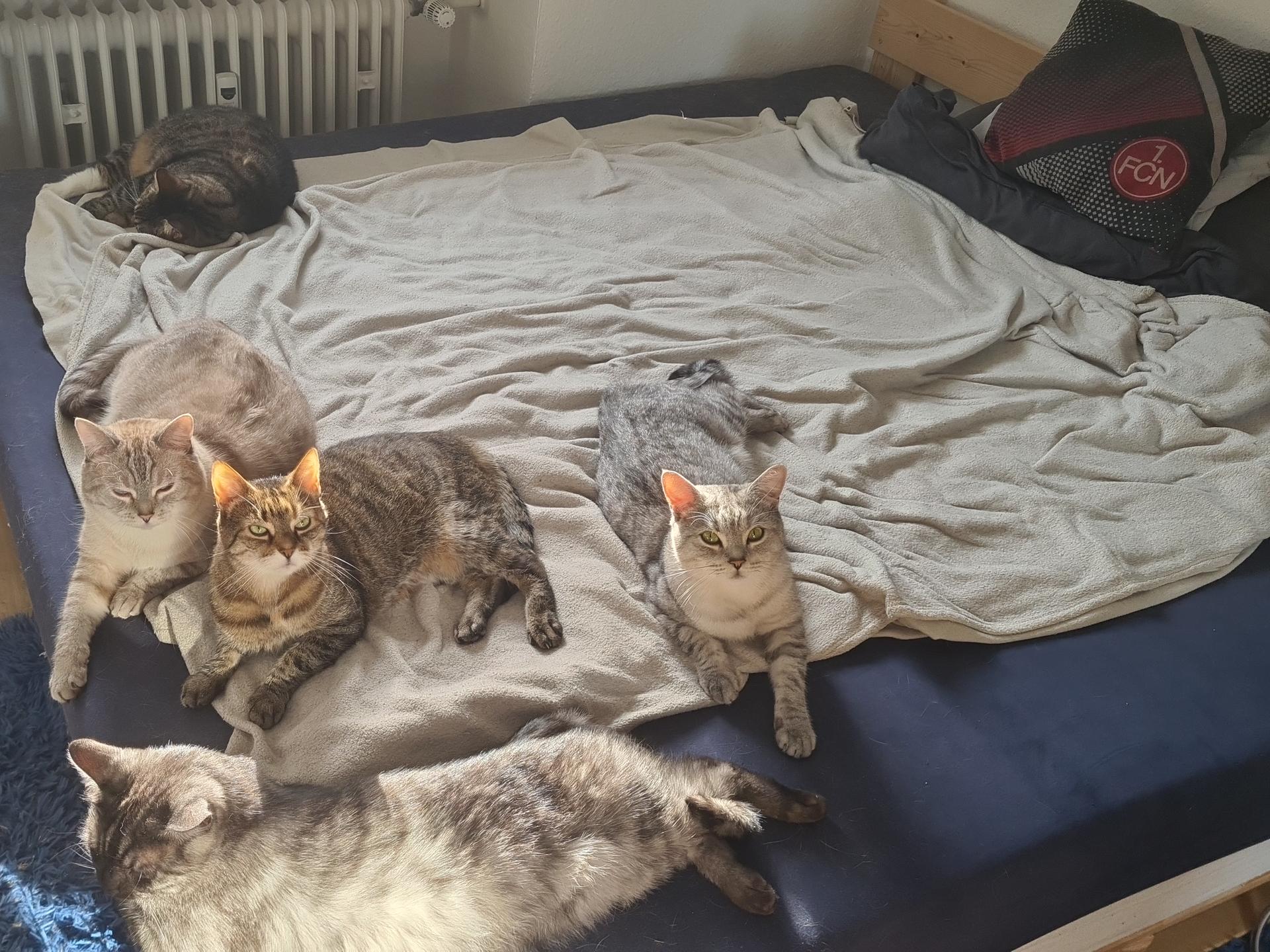 Ansicht 4 von Tierärztliche Praxis Marcus Sand