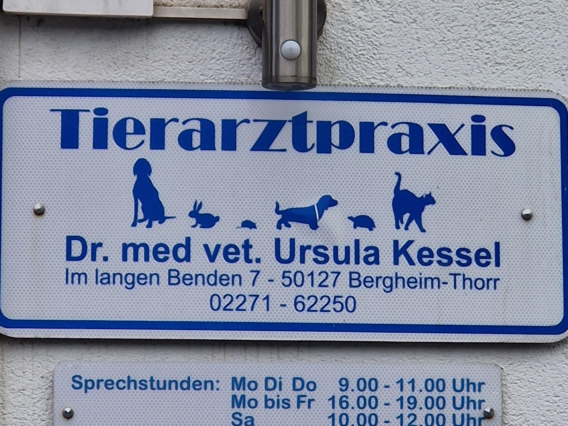 Ansicht 5 von Dr. med. vet. Ursula Kessel