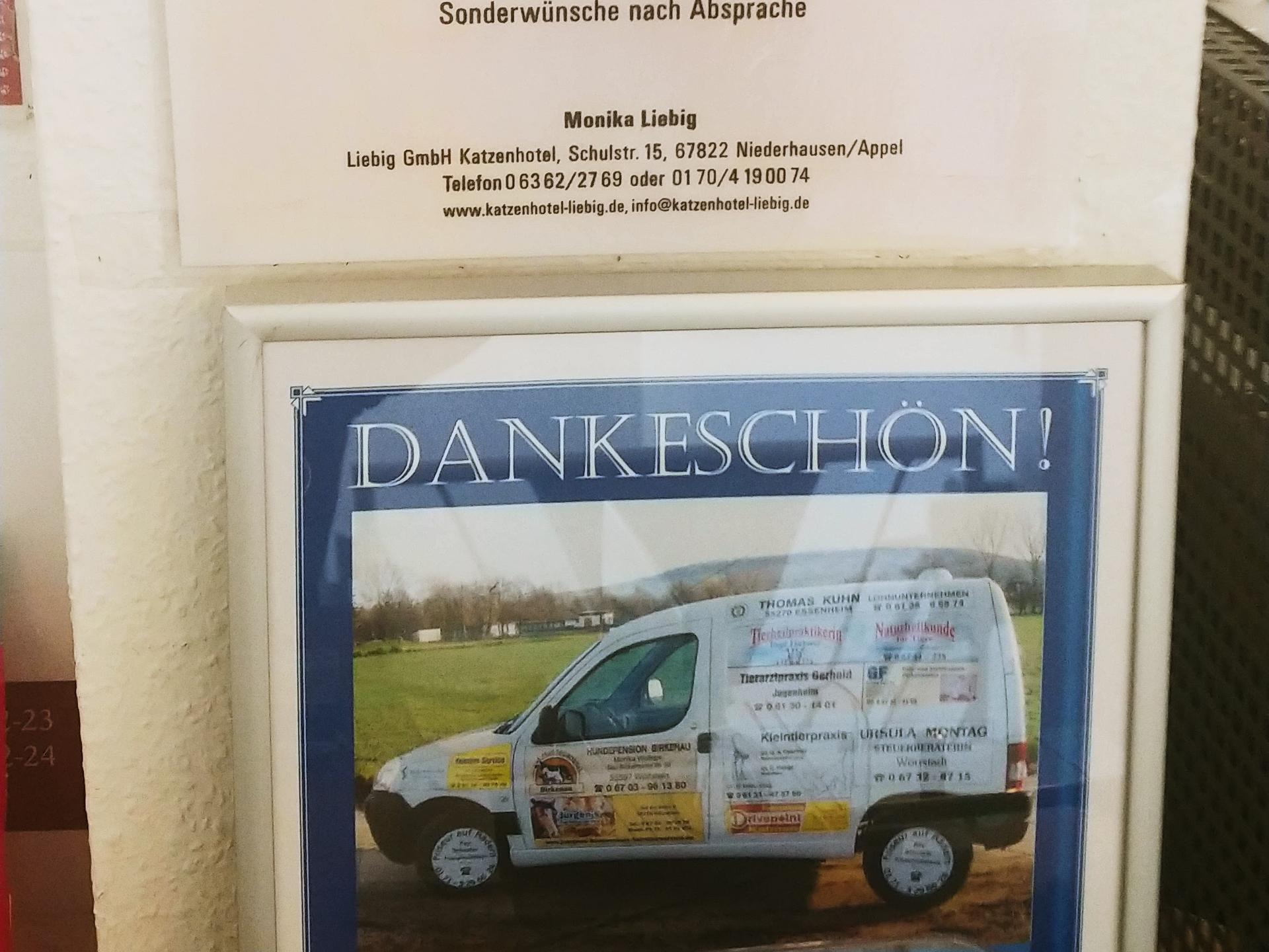 Ansicht 3 von Tierarztpraxis Gerhold GbR. Jugenheim