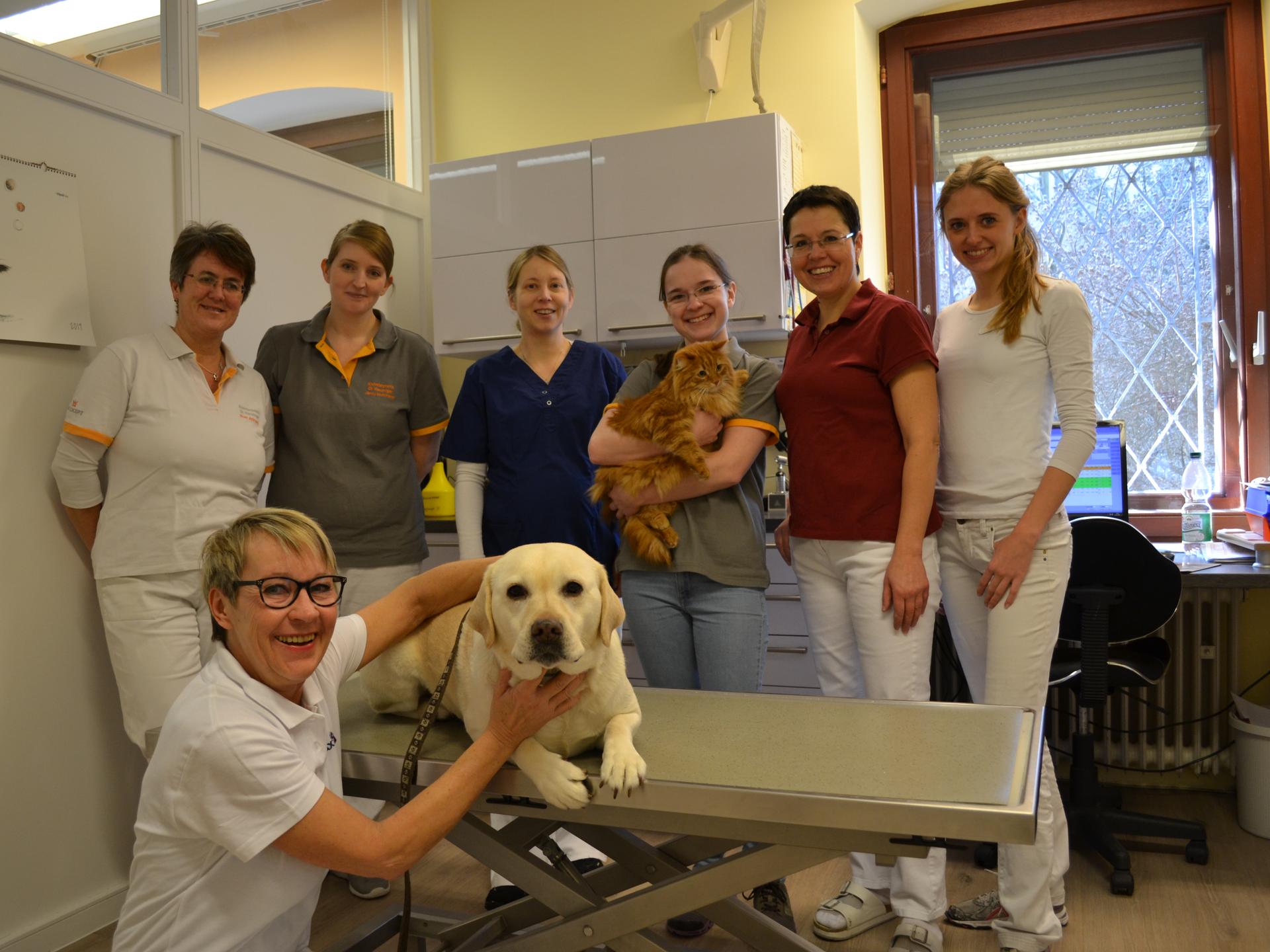 View 1 of Tierärztliche Praxis für Kleintiere | Dr. med. vet. Angelika Ranzinger