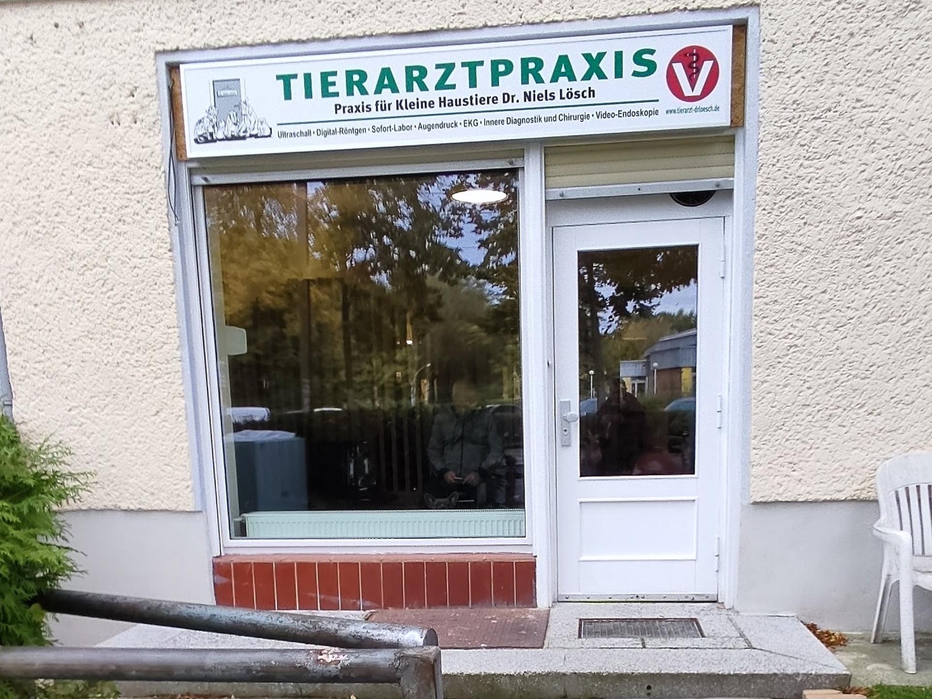 Ansicht 3 von Dr.med.vet. Nils Lösch