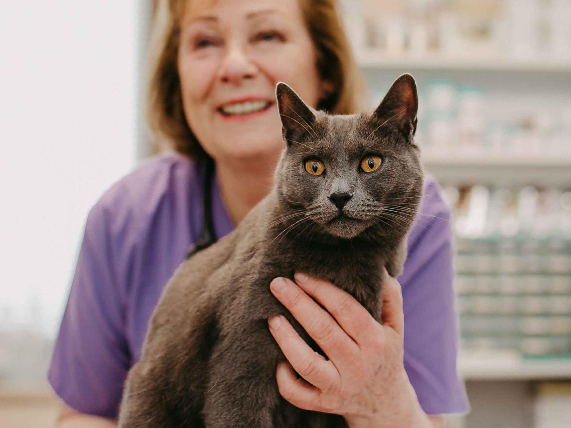 Ansicht 1 von Tierärzte Oberland, Dr.med.vet. Evelin C. Lindner