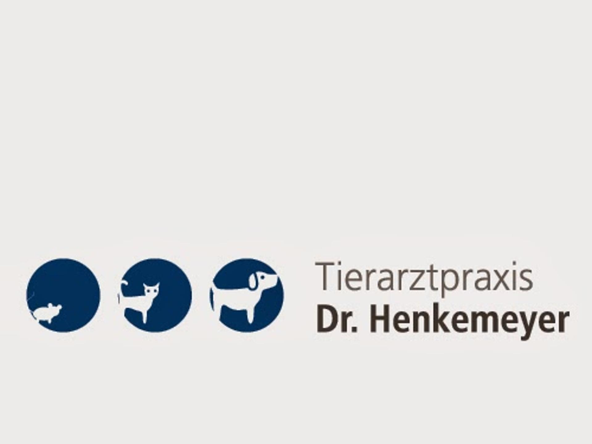 View 3 of Tierarztpraxis Dr. Juliana Henkemeyer