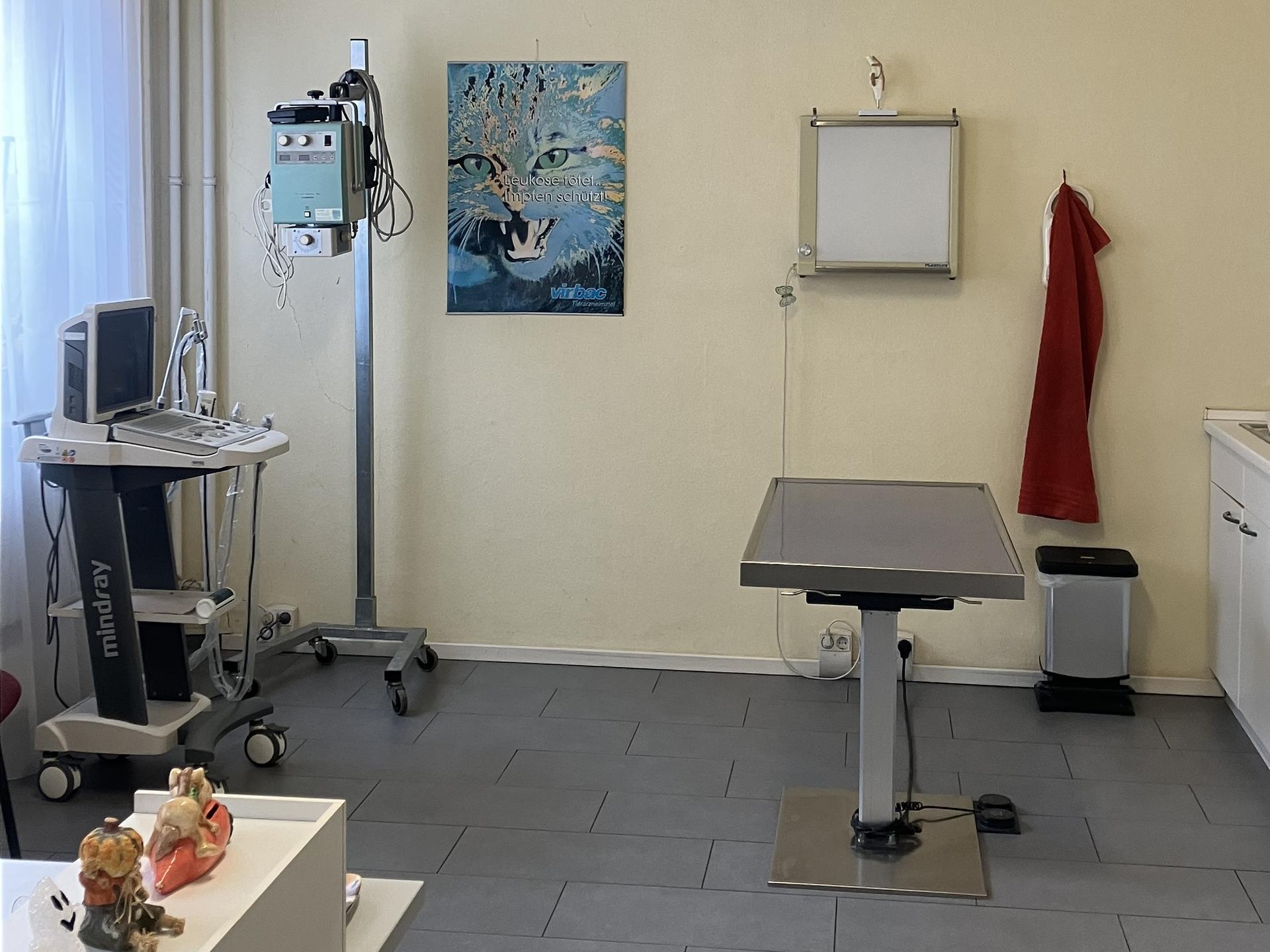 View 3 of Dr. Gabriele Hackl